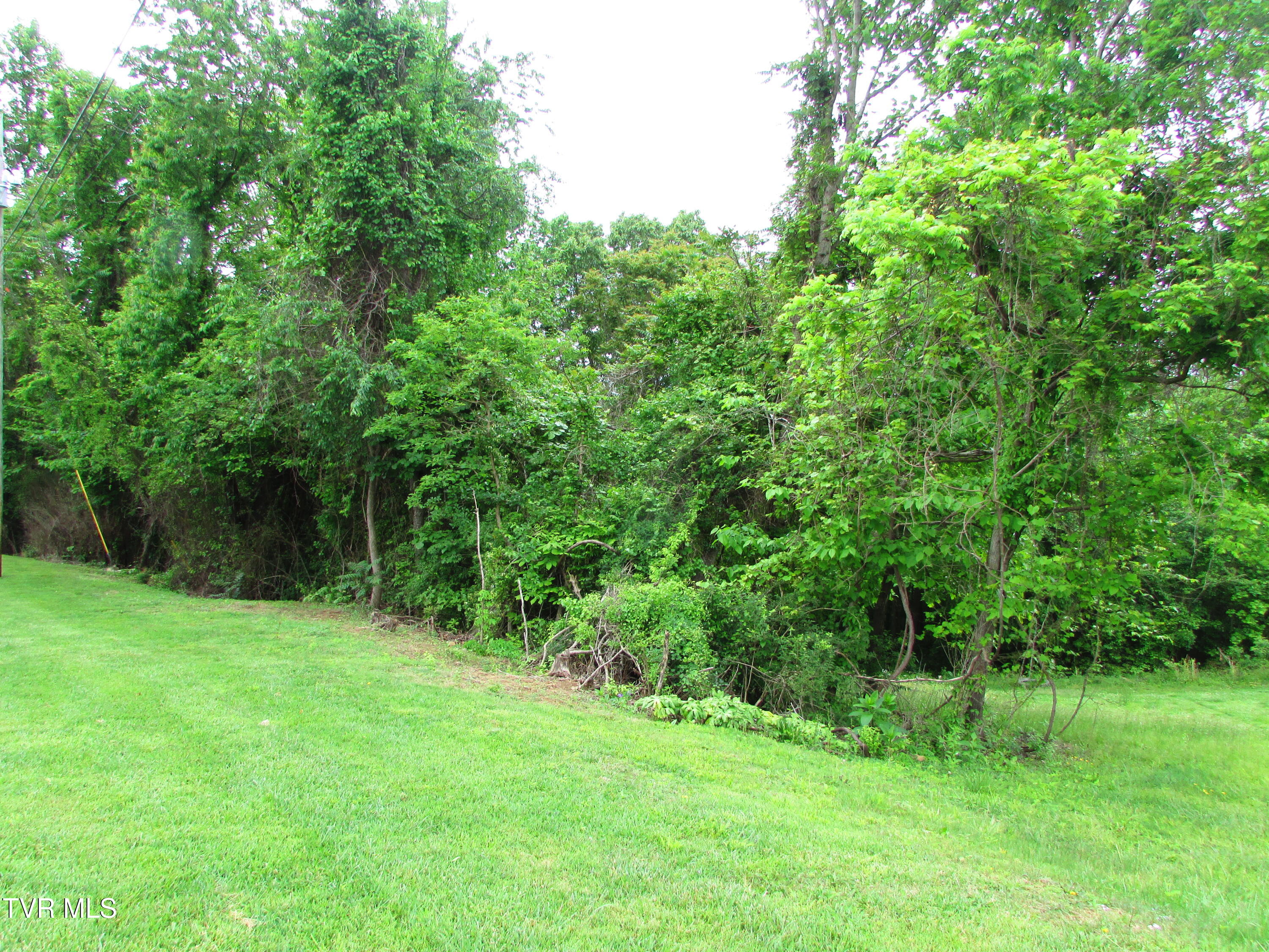 Tbd Redwood Drive, Elizabethton, Tennessee image 9