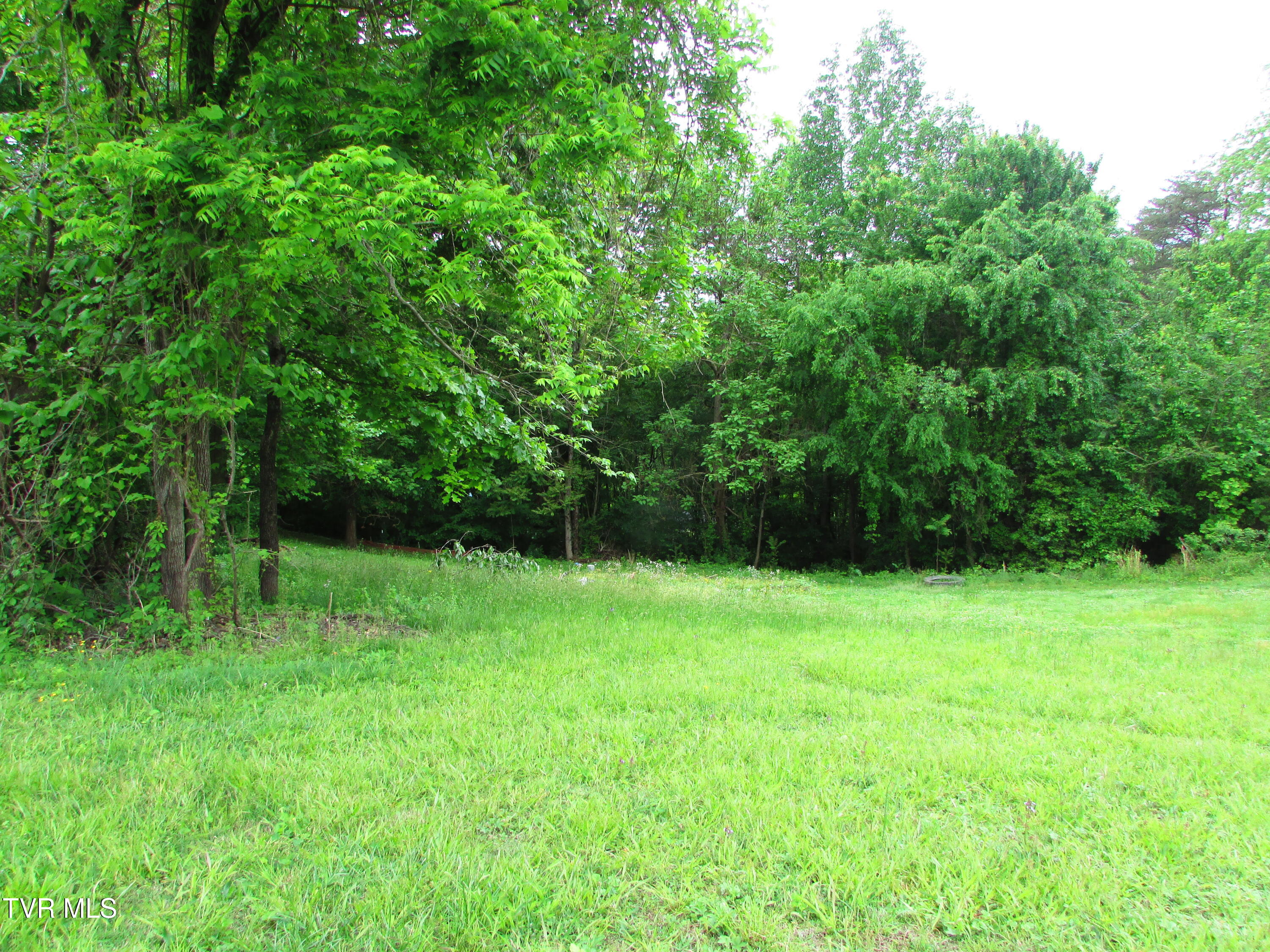 Tbd Redwood Drive, Elizabethton, Tennessee image 6