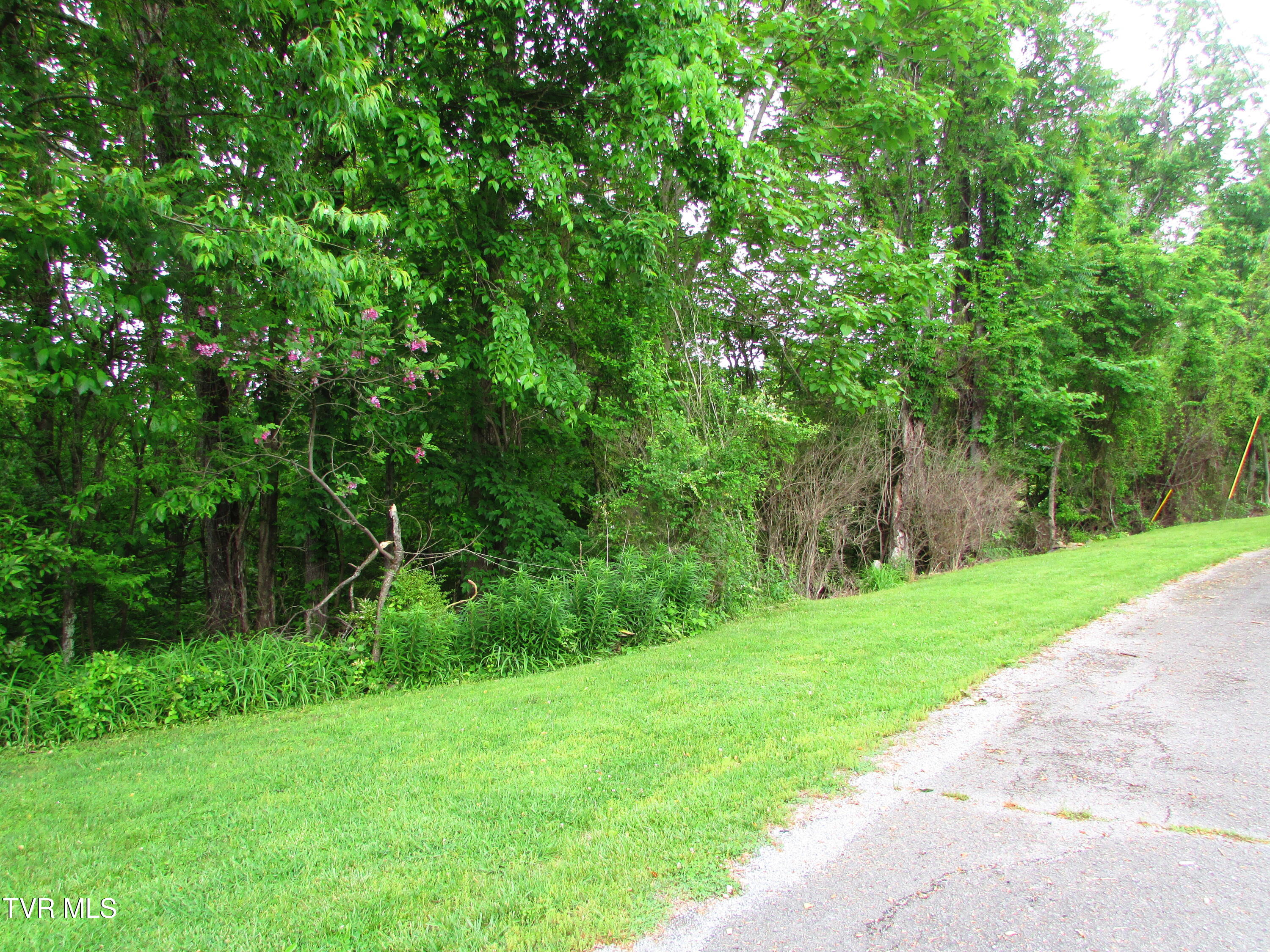 Tbd Redwood Drive, Elizabethton, Tennessee image 2