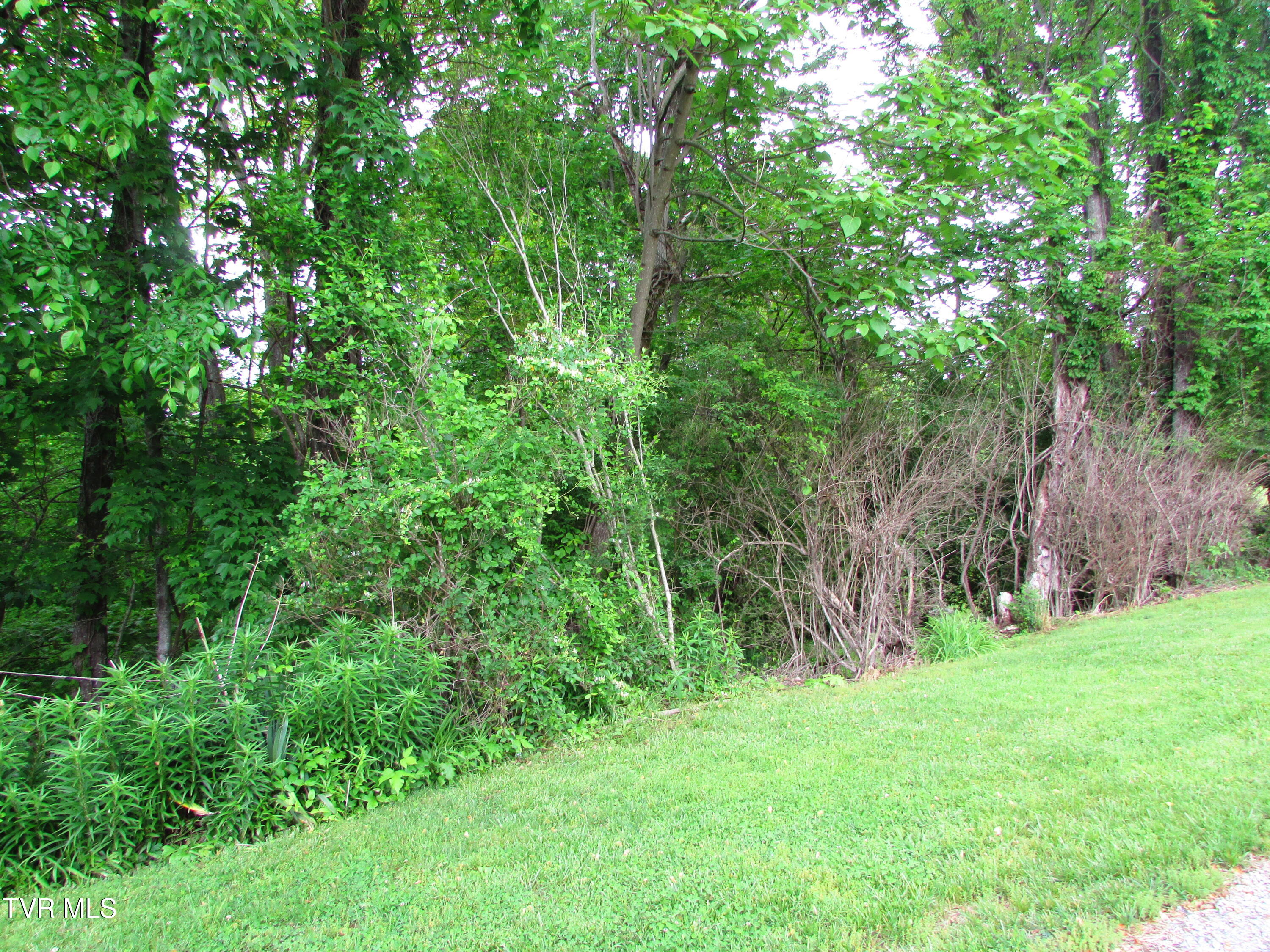 Tbd Redwood Drive, Elizabethton, Tennessee image 1