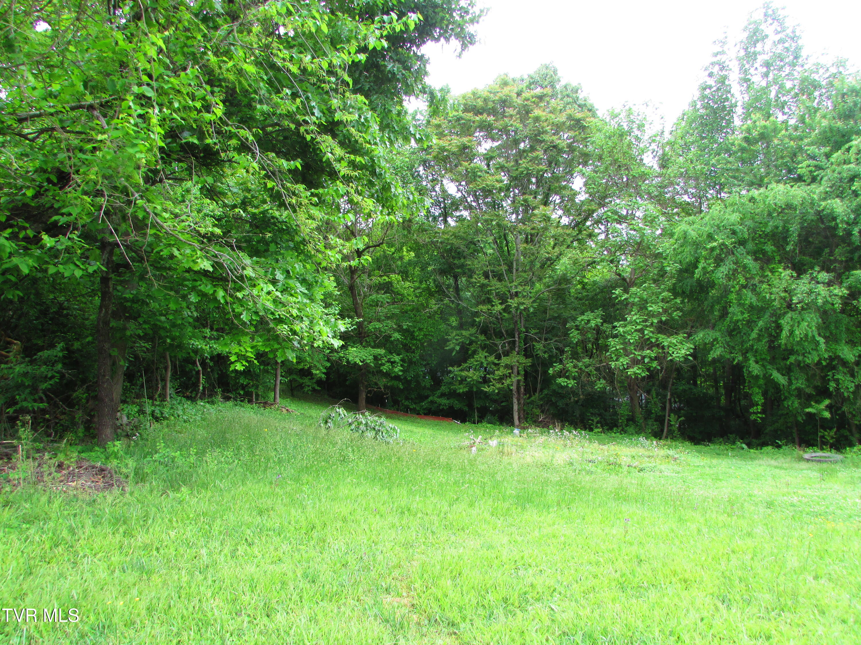 Tbd Redwood Drive, Elizabethton, Tennessee image 8