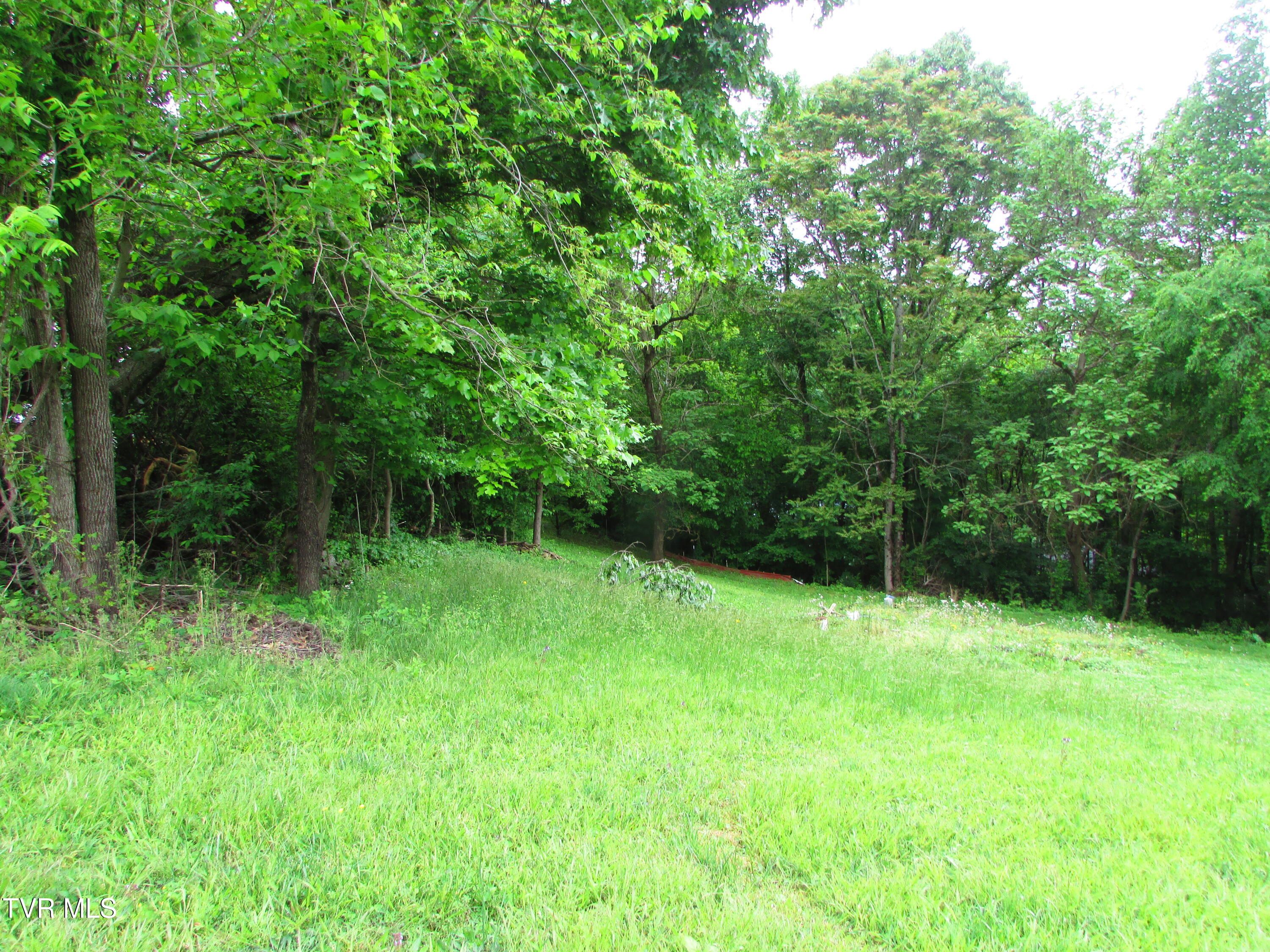 Tbd Redwood Drive, Elizabethton, Tennessee image 7