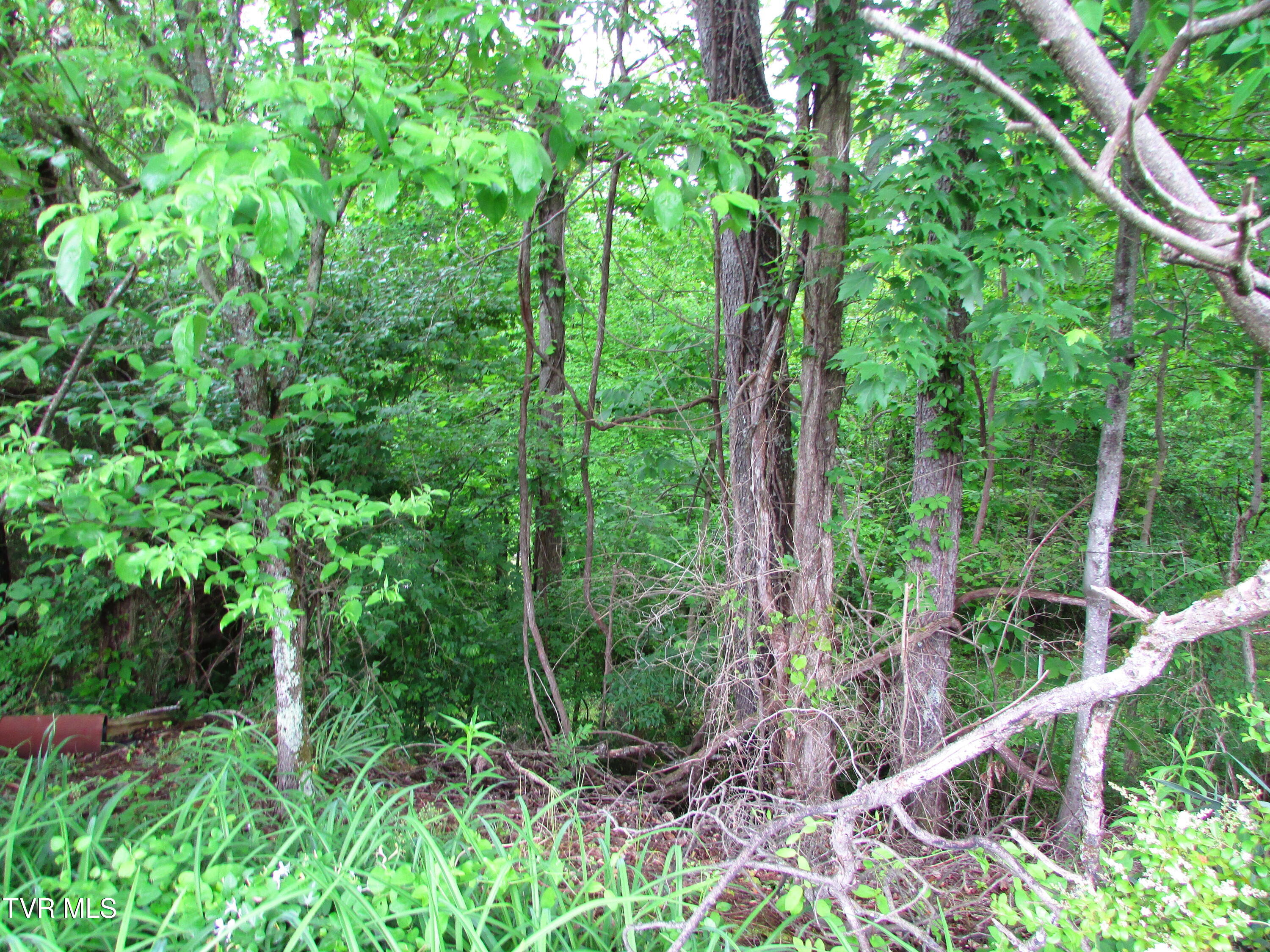 Tbd Redwood Drive, Elizabethton, Tennessee image 3