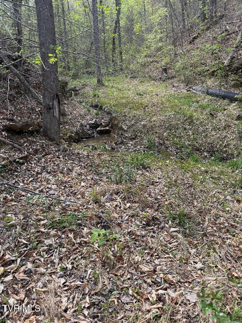 Photo of 0 Pine Mountain Road, Rogersville, TN 37857 (MLS # 9984280)