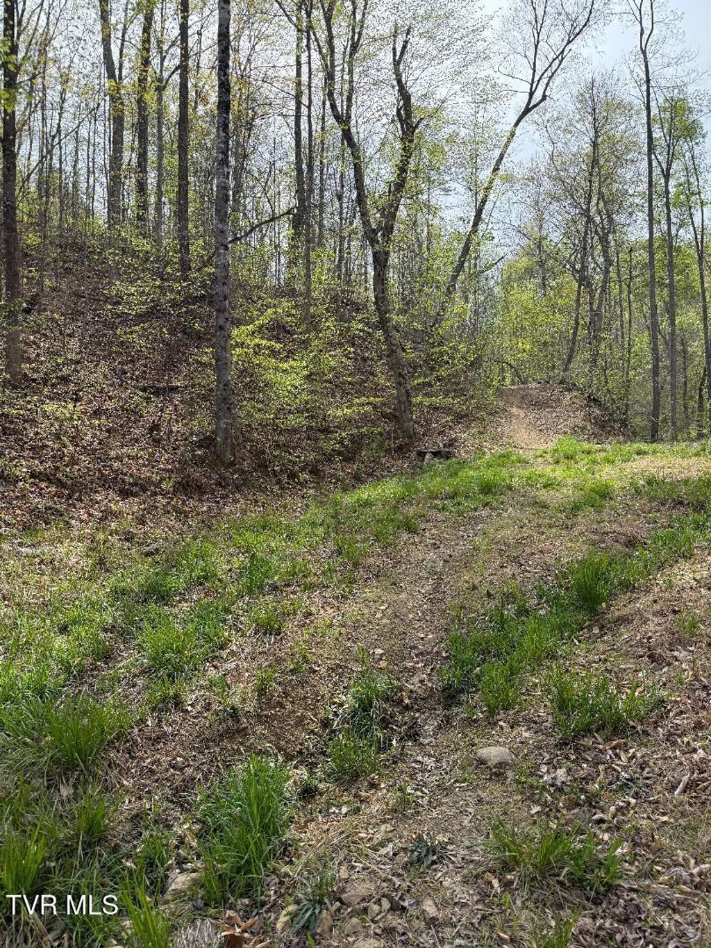 Photo of 0 Pine Mountain Road, Rogersville, TN 37857 (MLS # 9984280)