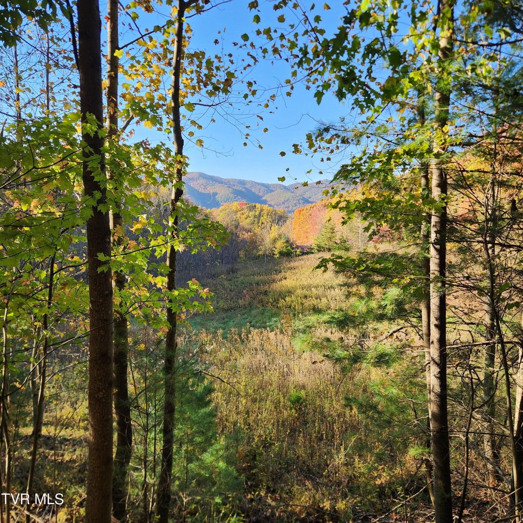 Photo of 129 Oaks Road, Unicoi, TN 37692 (MLS # 9991852)