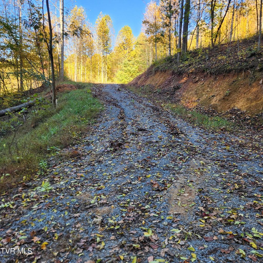 Photo of 129 Oaks Road, Unicoi, TN 37692 (MLS # 9991852)