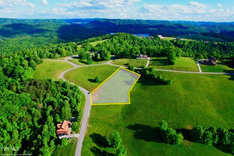Photo of 62 Flagstone Loop, New Tazewell, TN 37825 (MLS # 9995450)