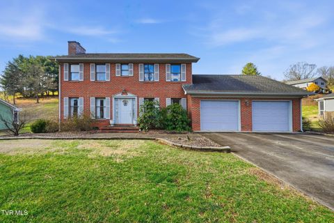 Photo of 340 Lewis Lane, Kingsport, TN 37660 (MLS # 9990566)