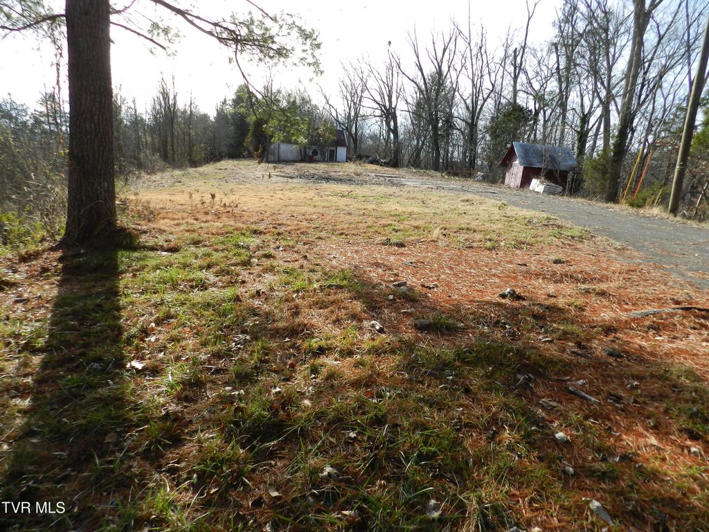 Photo of 4113 Clearview Street, Kingsport, TN 37660 (MLS # 9990075)