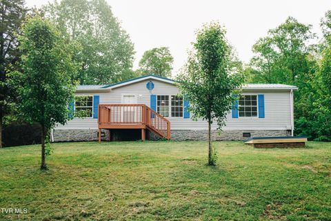 Photo of 613 Timber Ridge Road, Bluff City, TN 37618 (MLS # 9994814)