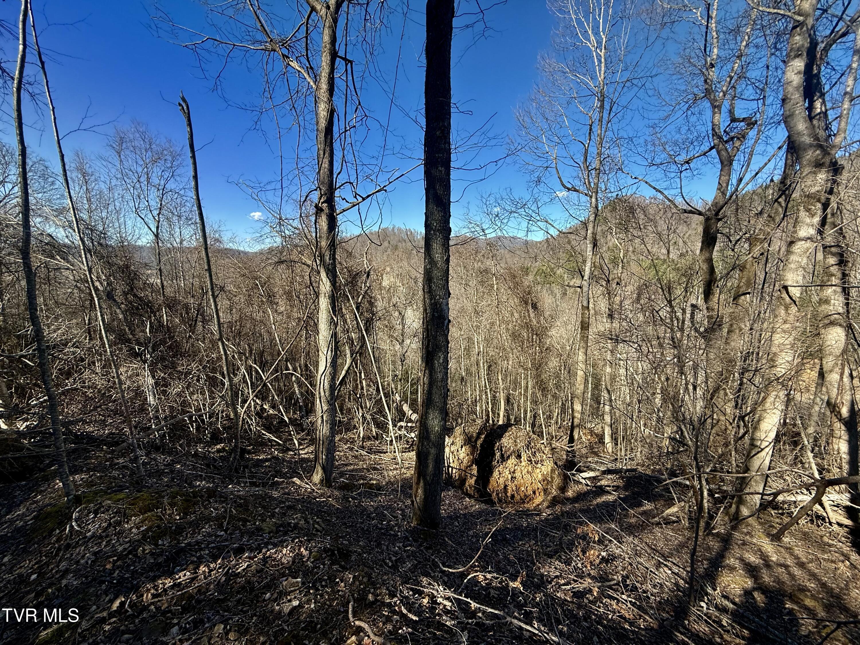 207/Ac Tbd Highway 421, Mountain City, Tennessee image 15