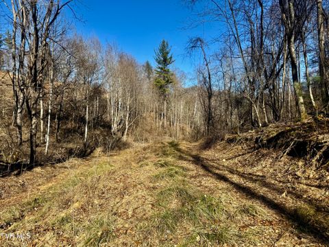 207/Ac Tbd Highway 421 Mountain City TN 37683