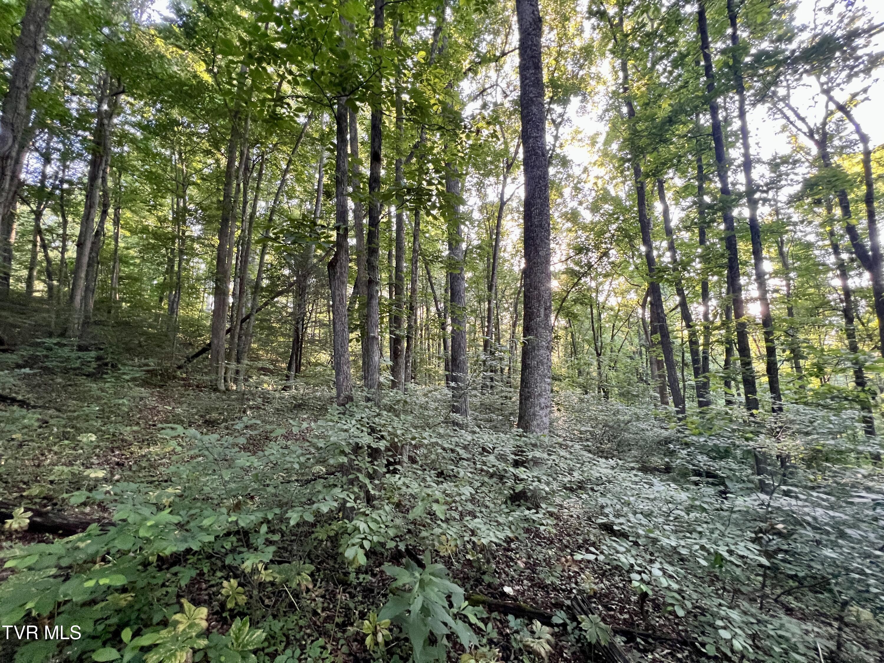 207/Ac Tbd Highway 421, Mountain City, Tennessee image 23