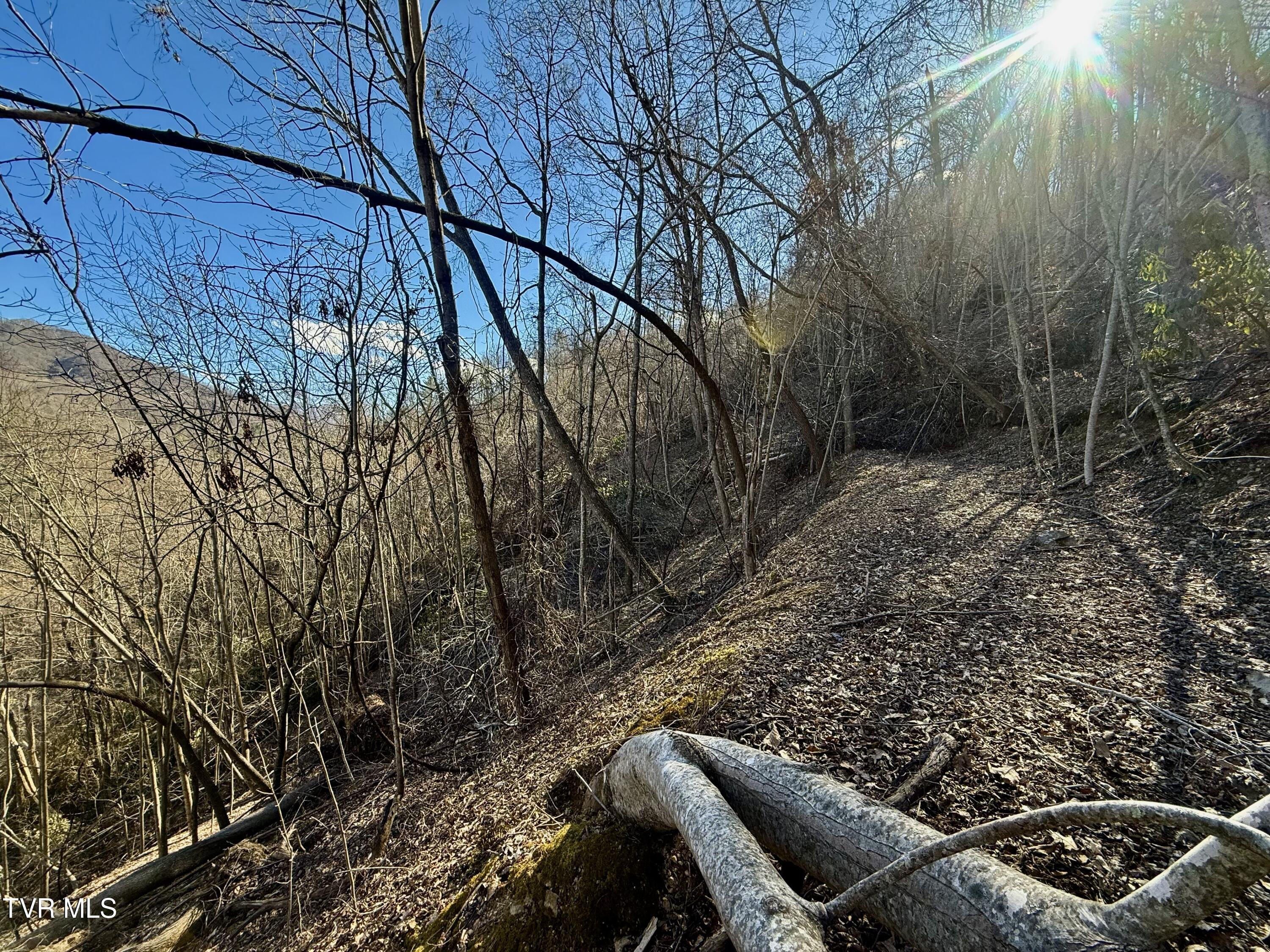 207/Ac Tbd Highway 421, Mountain City, Tennessee image 18