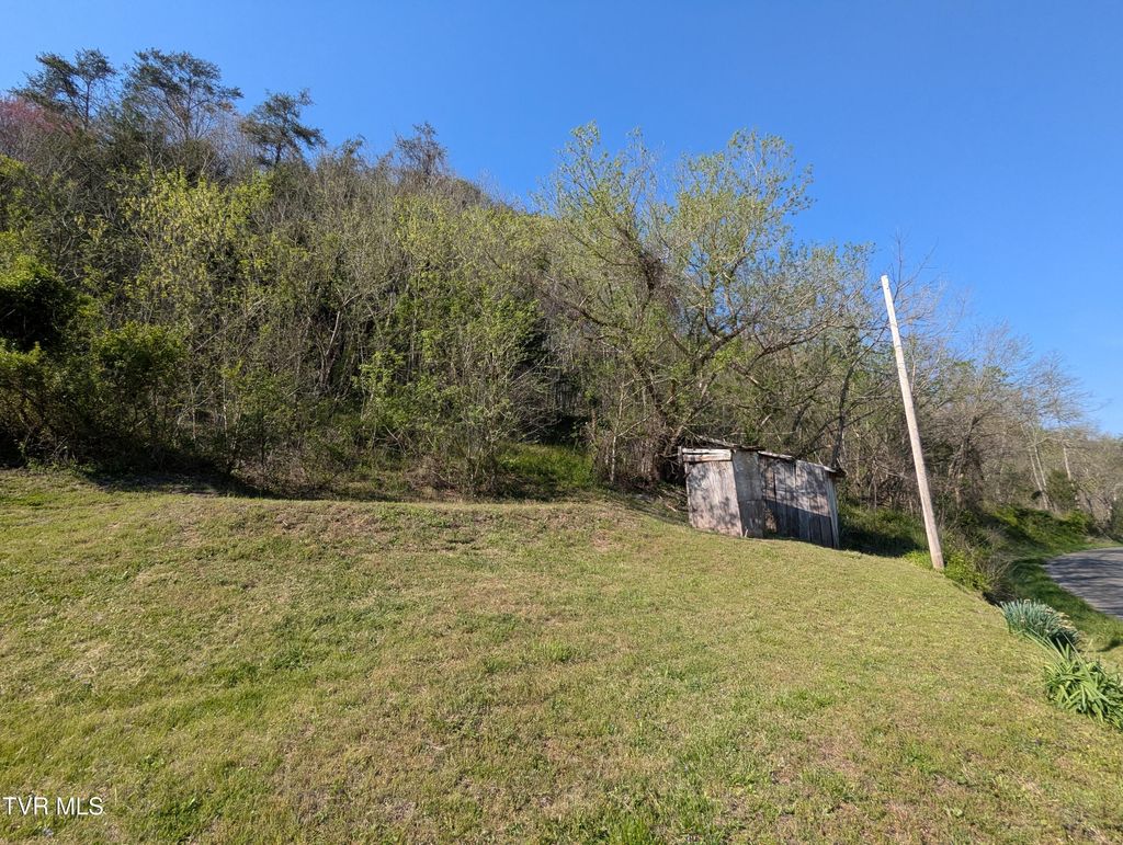 Photo of 2310 Speers Valley Road, Duffield, VA 24244 (MLS # 9979179)