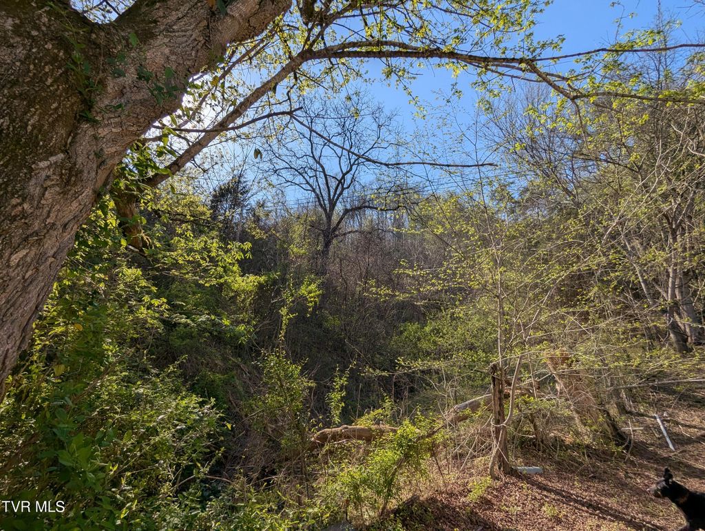 Photo of 2310 Speers Valley Road, Duffield, VA 24244 (MLS # 9979179)