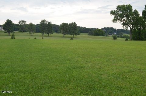 Lot 7 R Golf Villa Drive Greeneville TN 37743