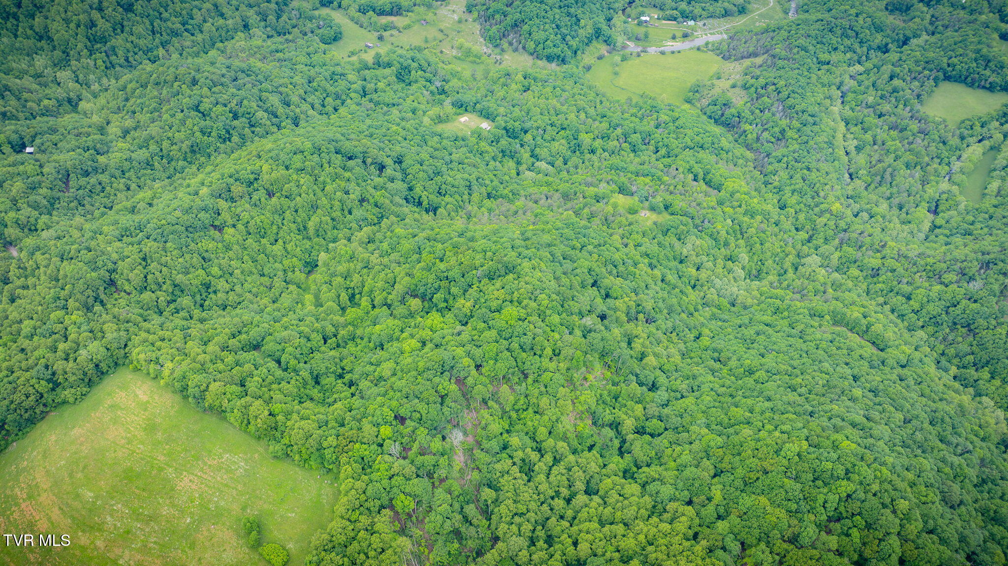 Tbd Mineral Hill Lane, Gate City, Virginia image 9