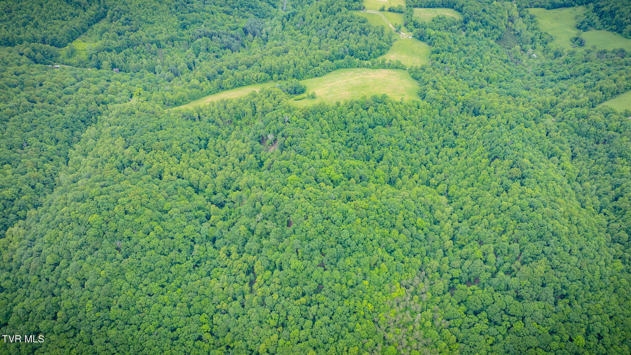 Tbd Mineral Hill Lane, Gate City, Virginia image 6