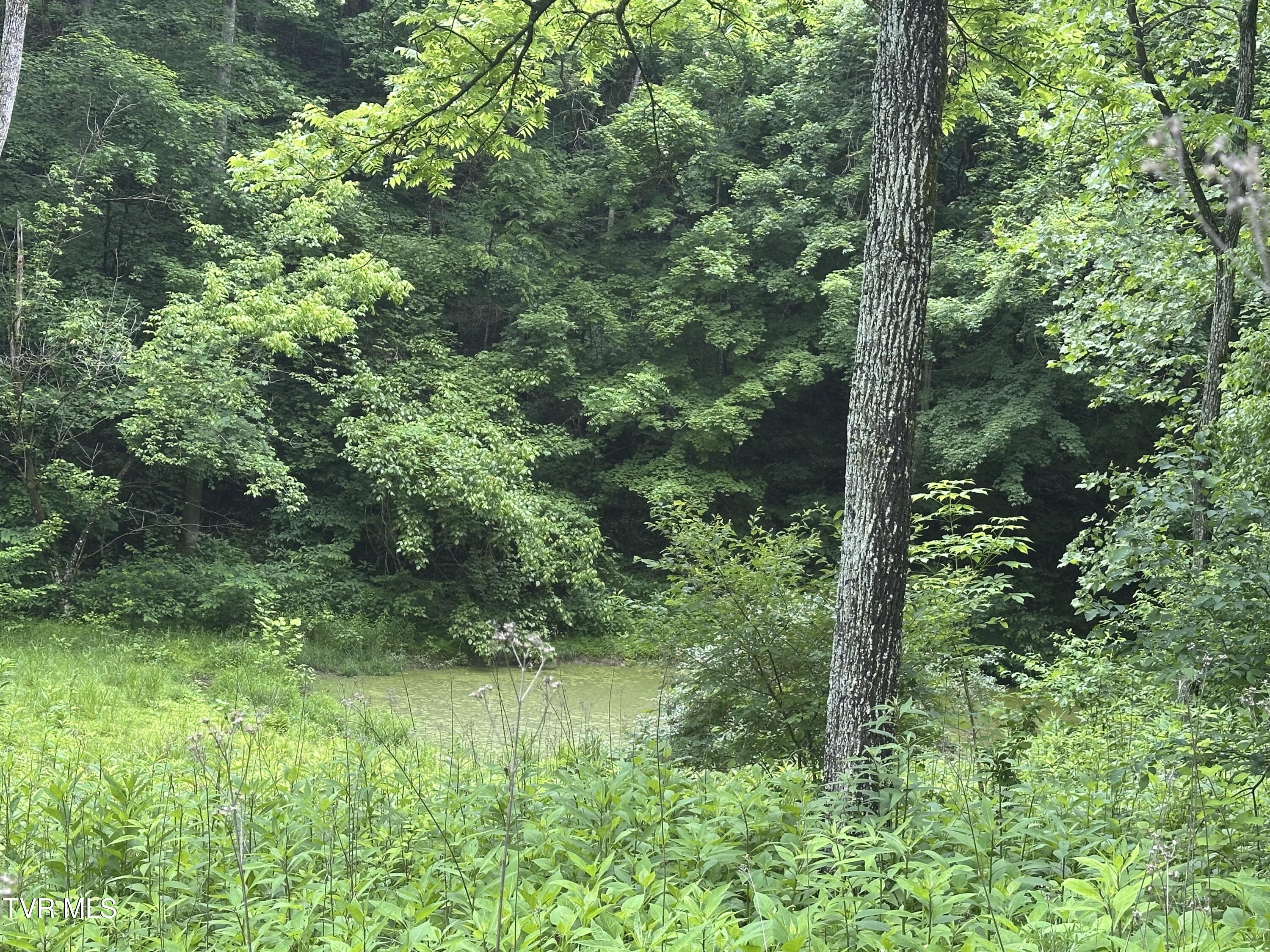 Tbd Mineral Hill Lane, Gate City, Virginia image 21