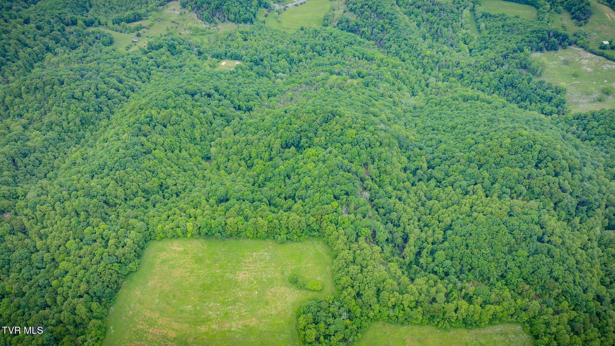 Tbd Mineral Hill Lane, Gate City, Virginia image 10