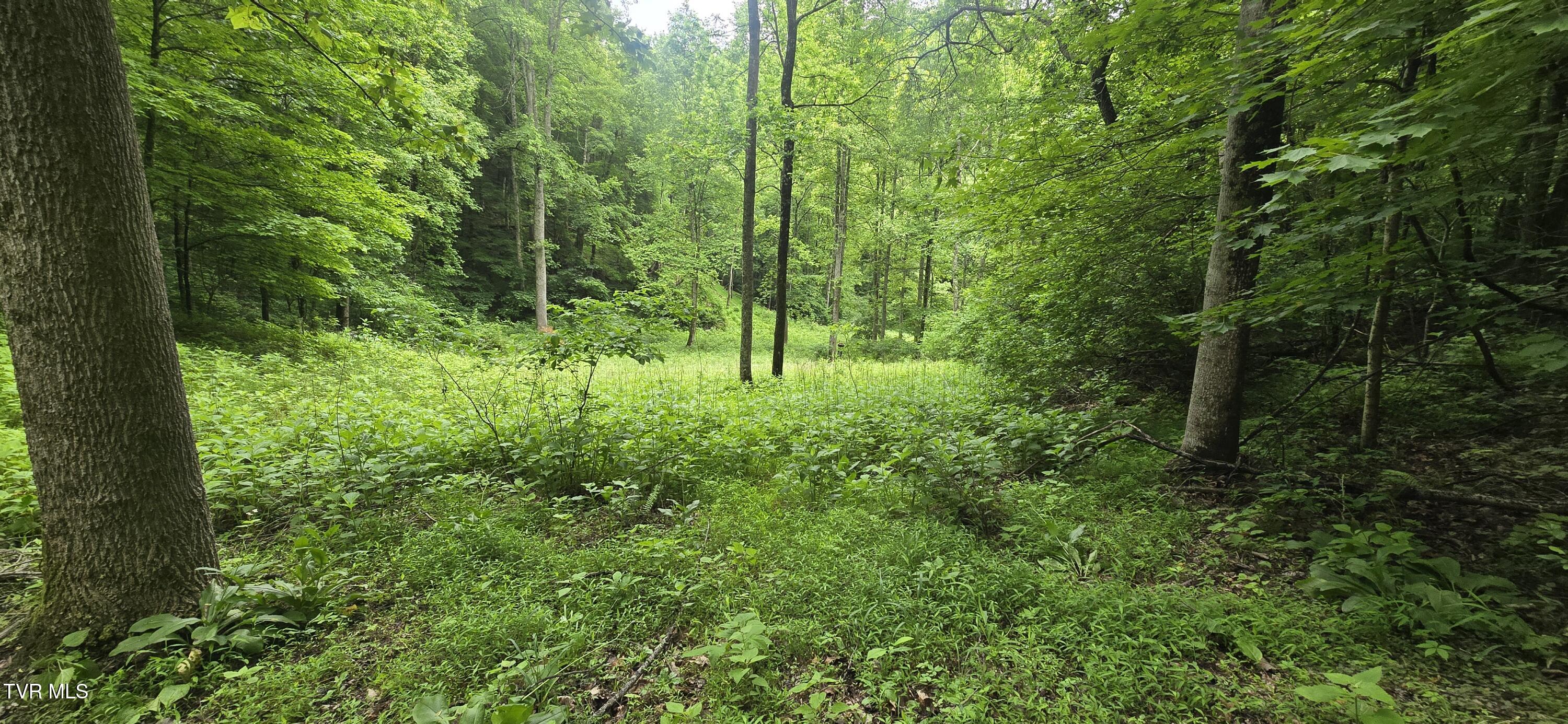Tbd Mineral Hill Lane, Gate City, Virginia image 18