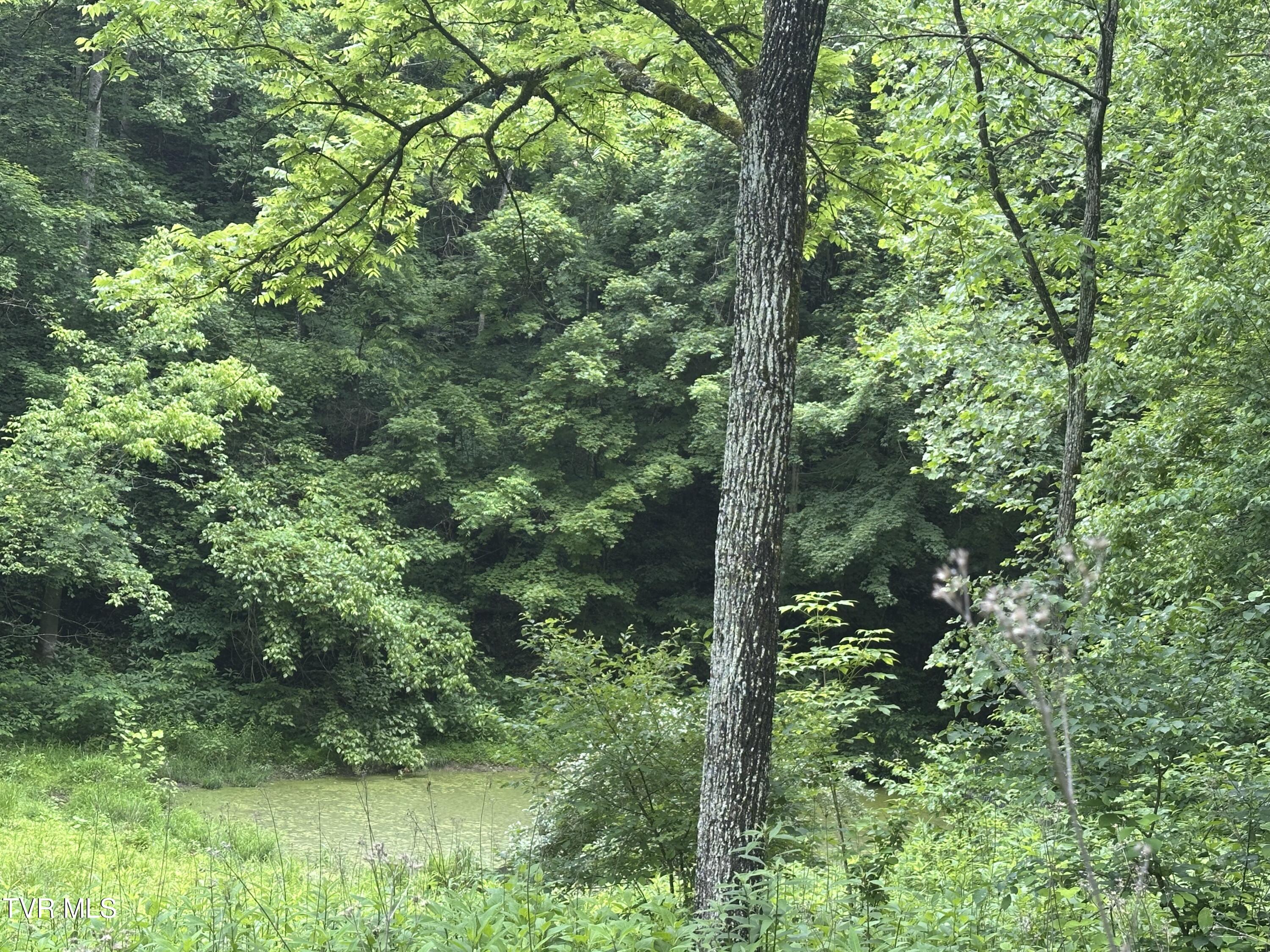Tbd Mineral Hill Lane, Gate City, Virginia image 20