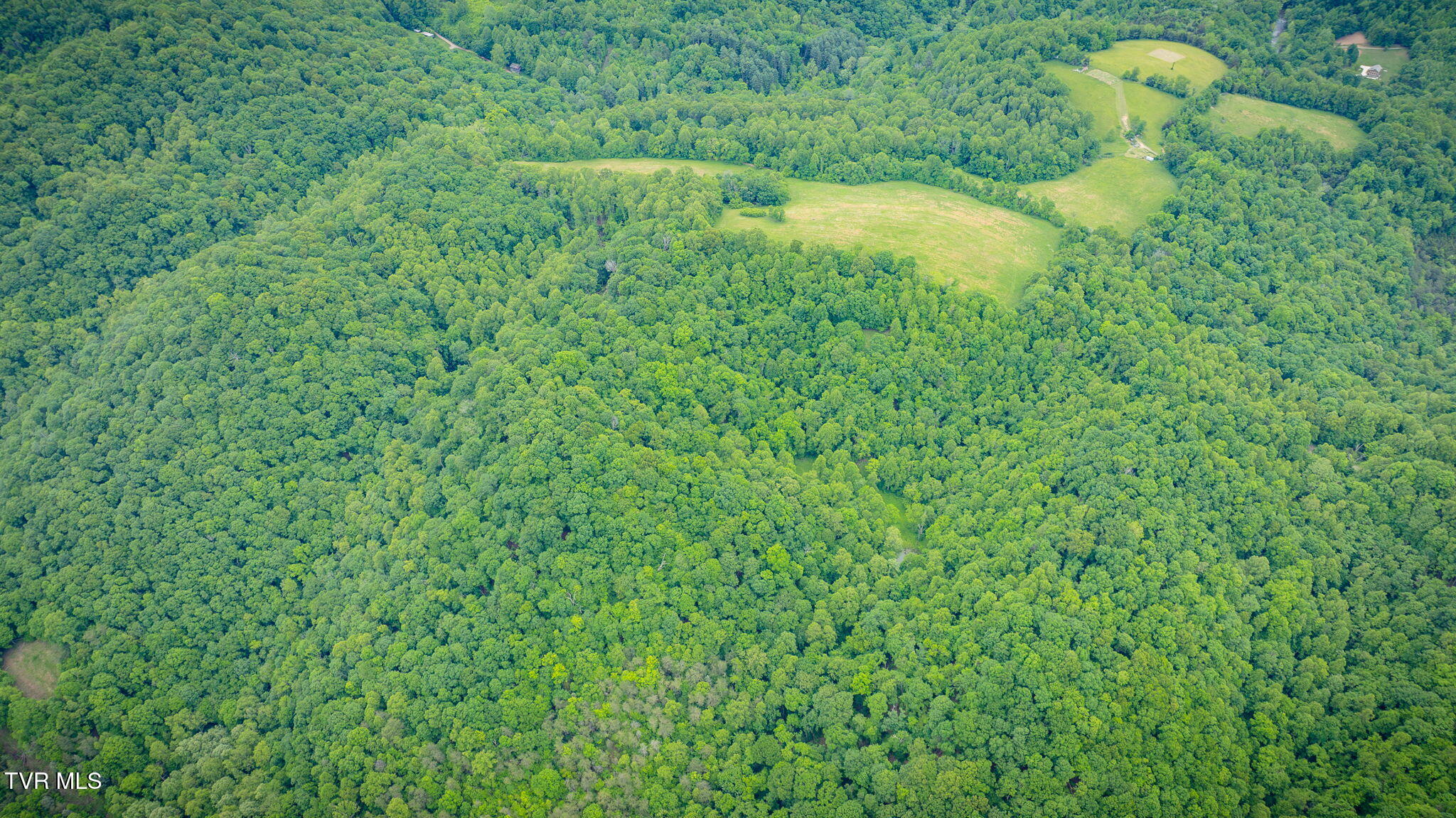 Tbd Mineral Hill Lane, Gate City, Virginia image 5