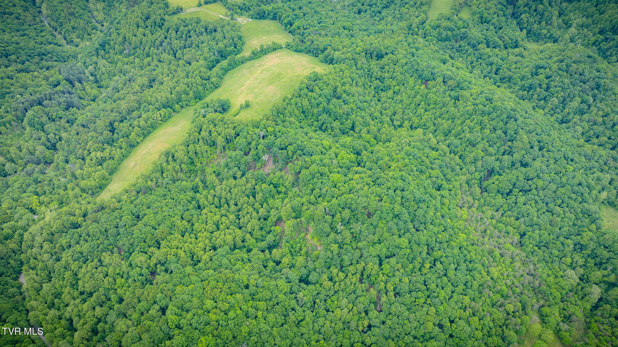 Tbd Mineral Hill Lane, Gate City, Virginia image 7