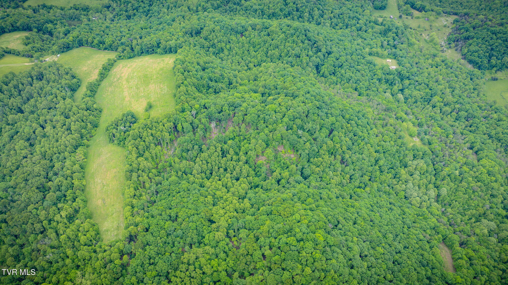 Tbd Mineral Hill Lane, Gate City, Virginia image 8