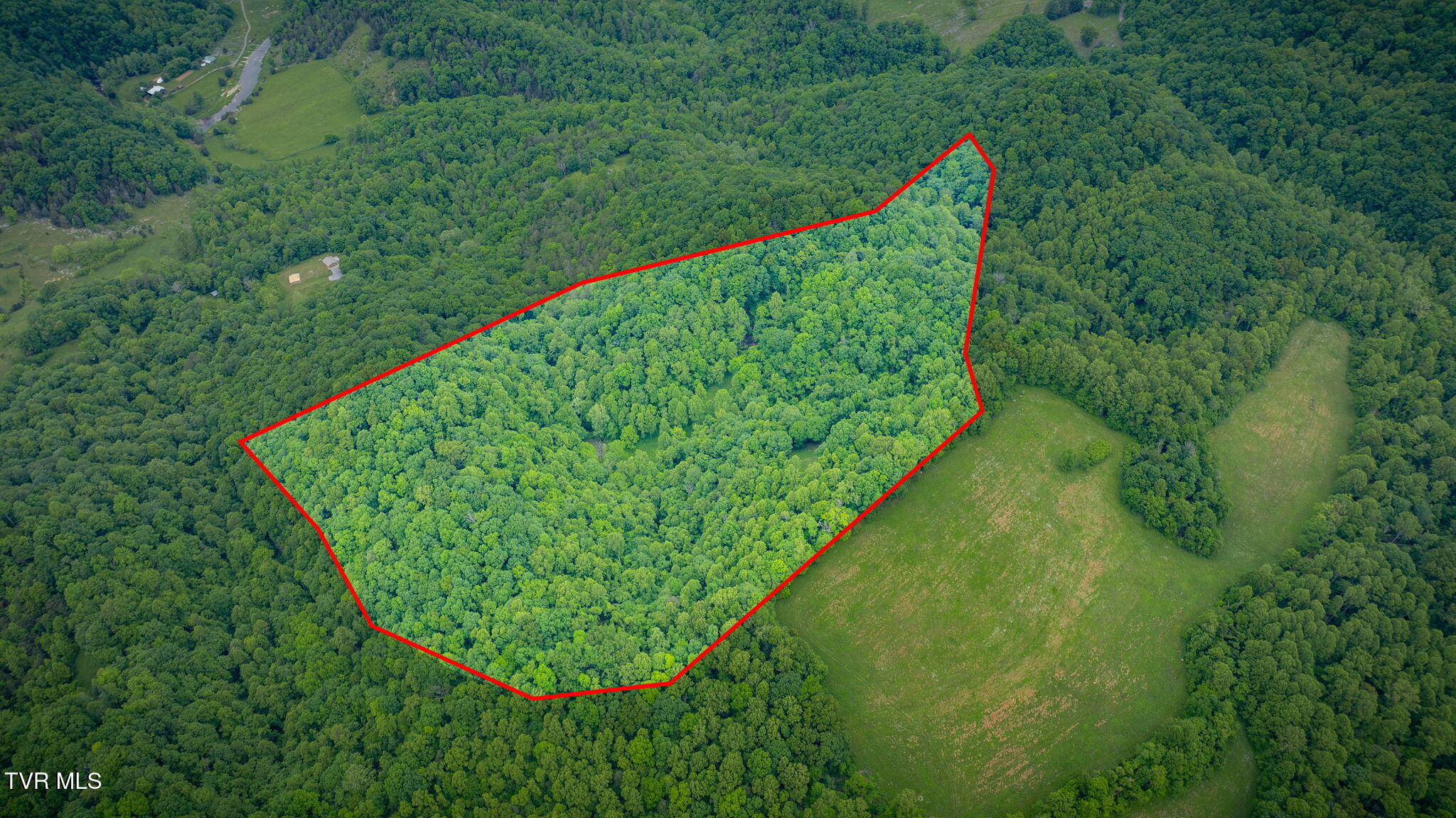 Tbd Mineral Hill Lane, Gate City, Virginia image 1