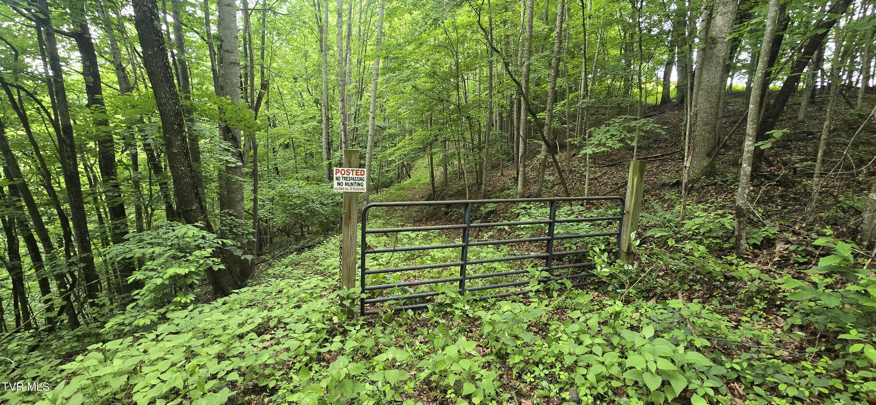 Tbd Mineral Hill Lane, Gate City, Virginia image 16