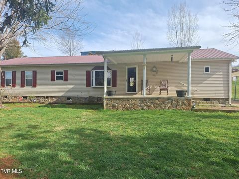 Photo of 220 Fannin Road, Greeneville, TN 37743 (MLS # 9992008)
