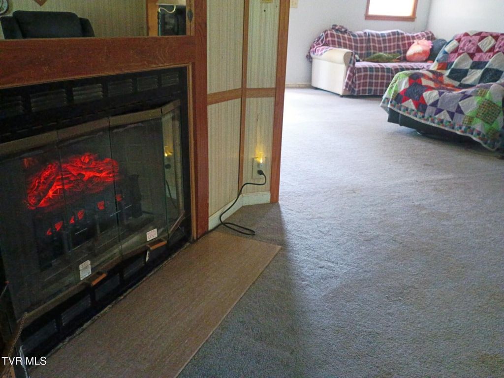 Photo of 220 Fannin Road, Greeneville, TN 37743 (MLS # 9992008)