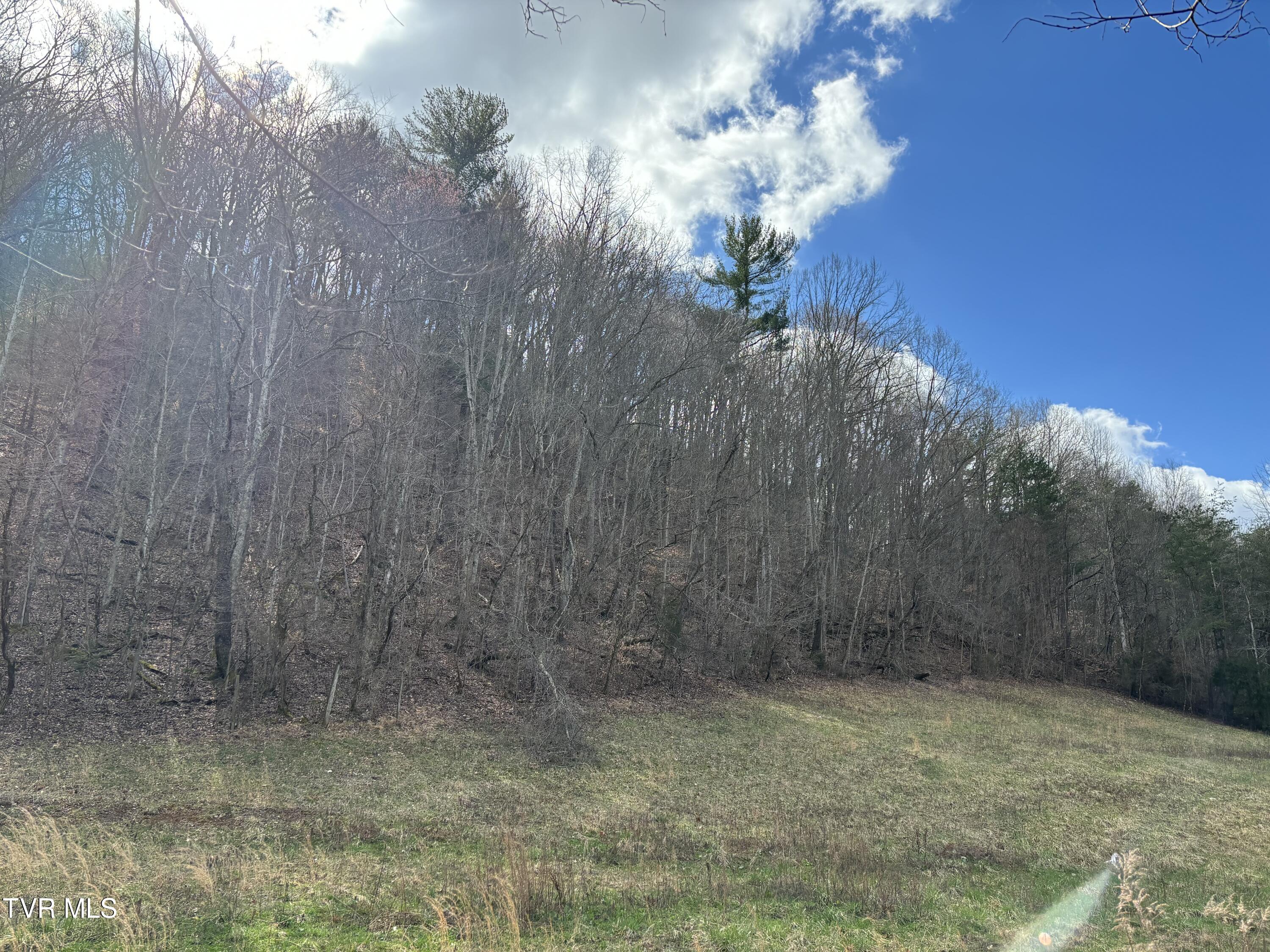 166 Holston Mountain Road, Elizabethton, Tennessee image 7