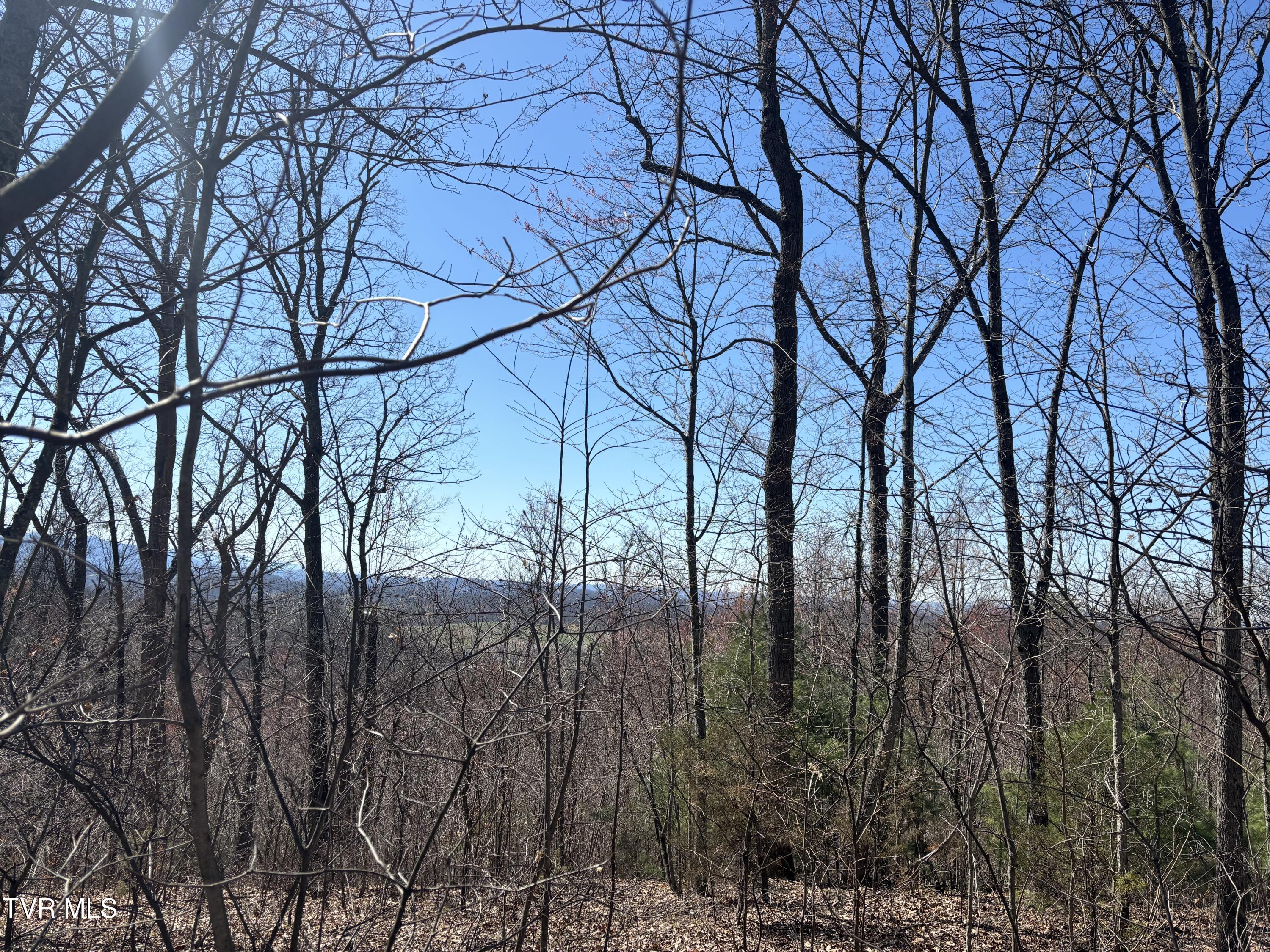 166 Holston Mountain Road, Elizabethton, Tennessee image 23