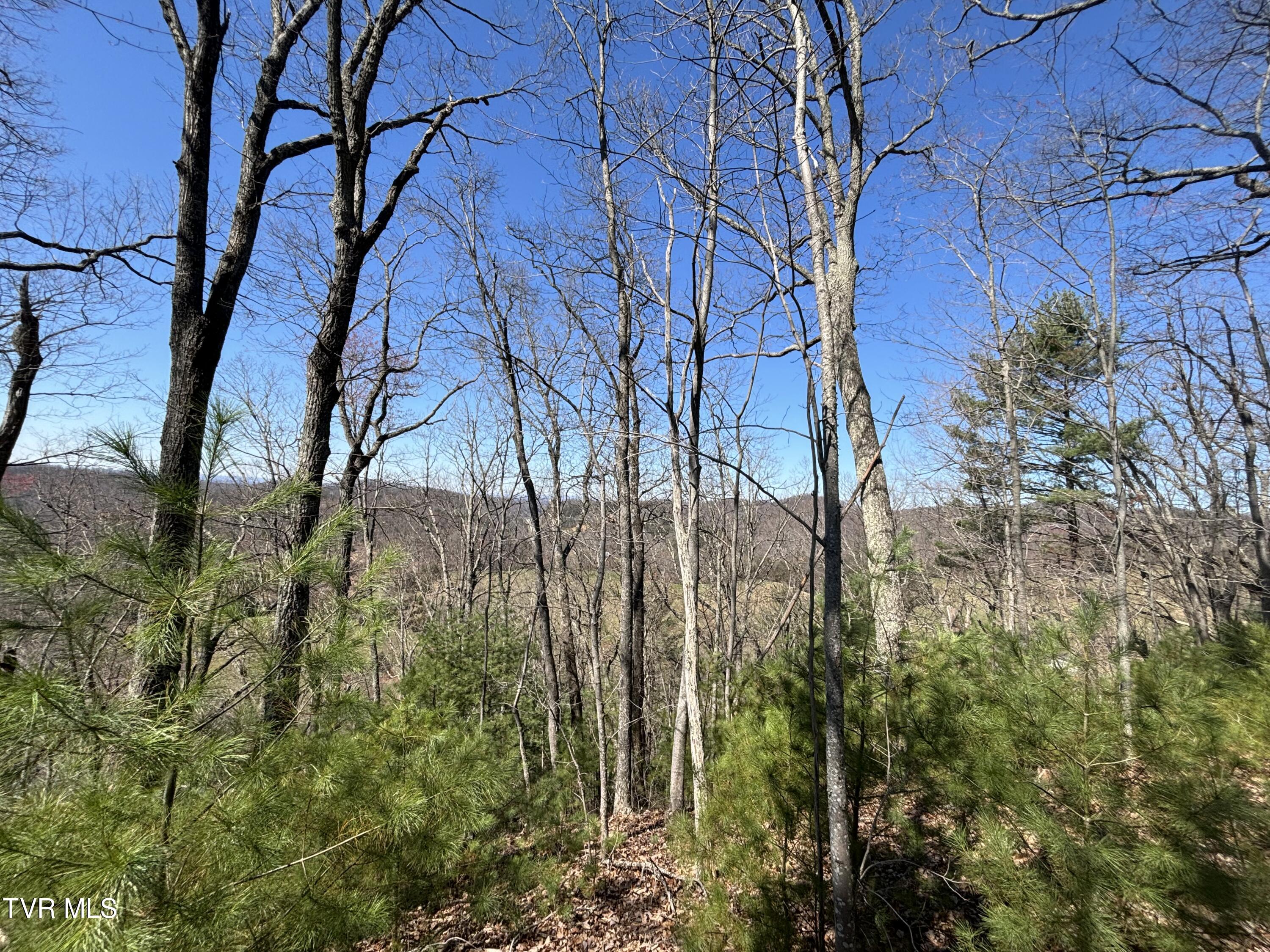 166 Holston Mountain Road, Elizabethton, Tennessee image 14