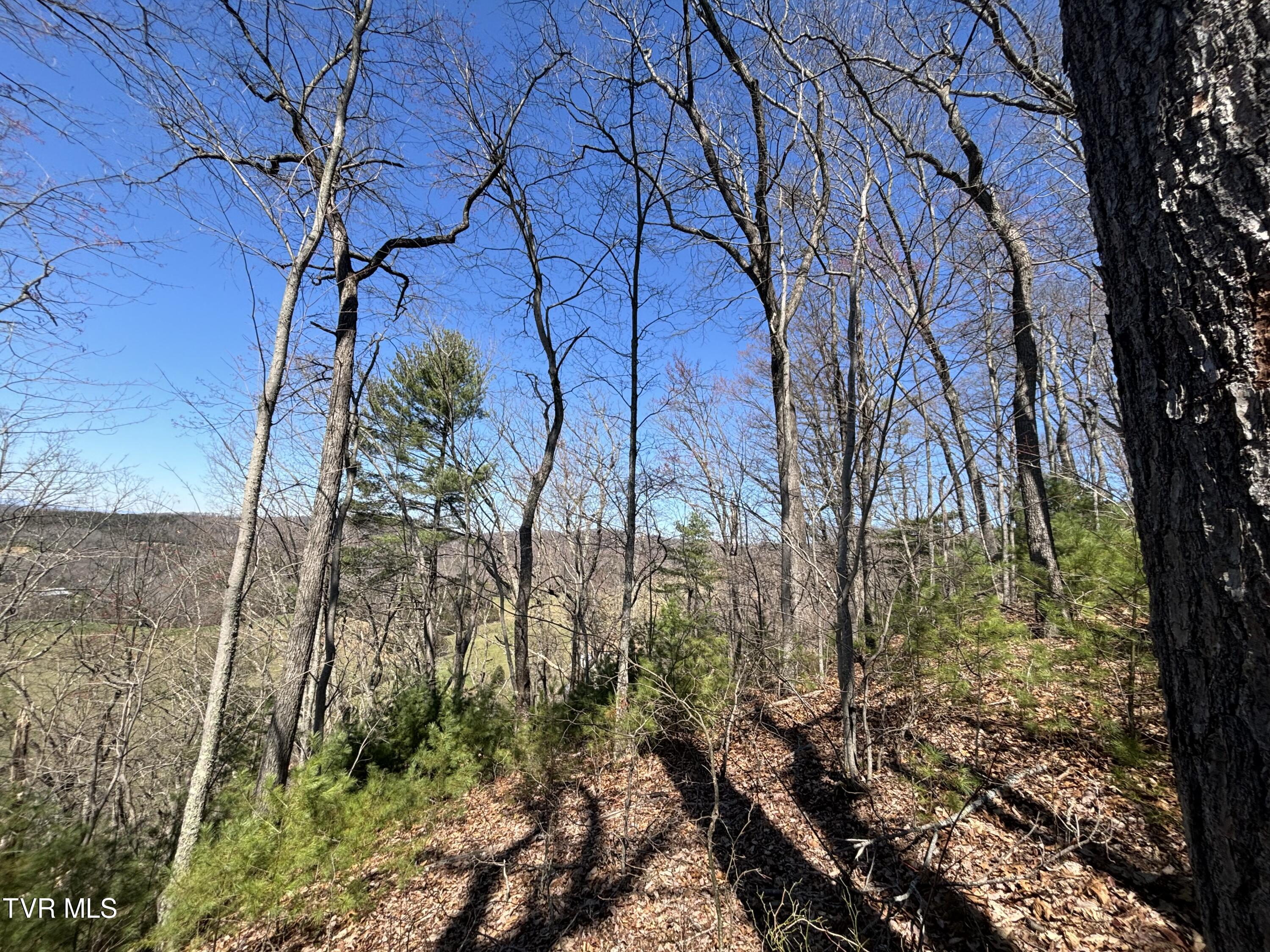 166 Holston Mountain Road, Elizabethton, Tennessee image 15