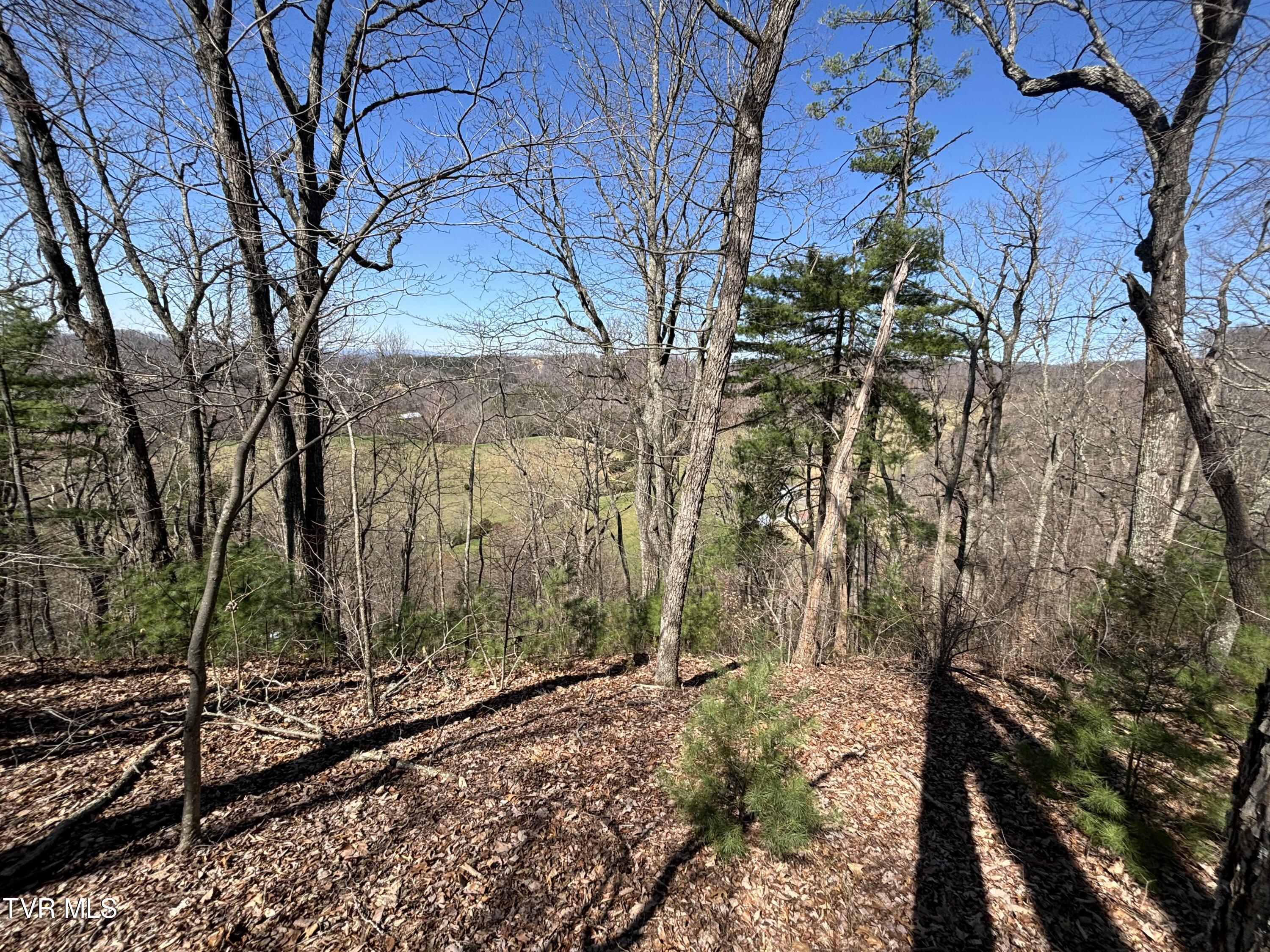 166 Holston Mountain Road, Elizabethton, Tennessee image 21