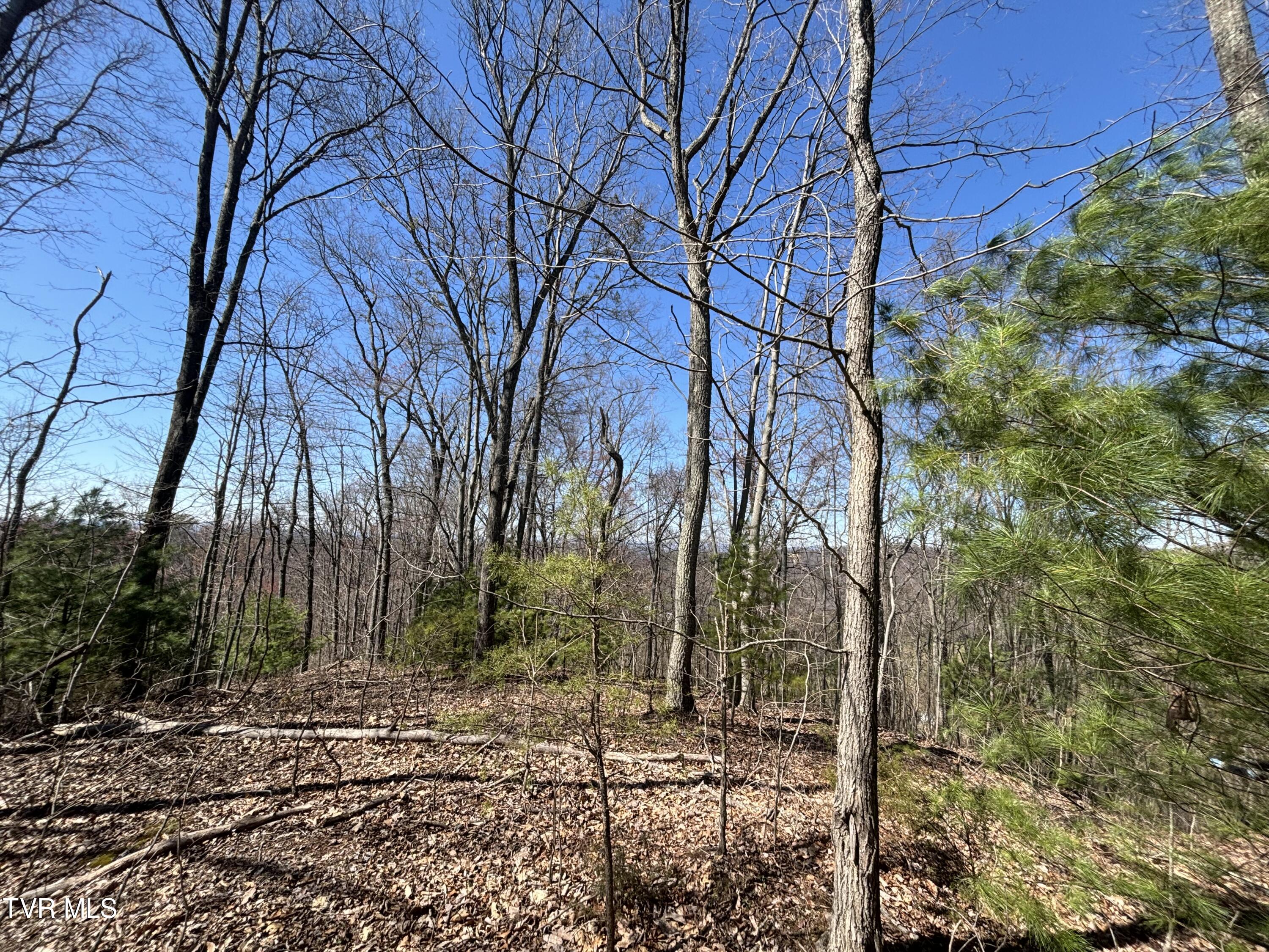 166 Holston Mountain Road, Elizabethton, Tennessee image 22