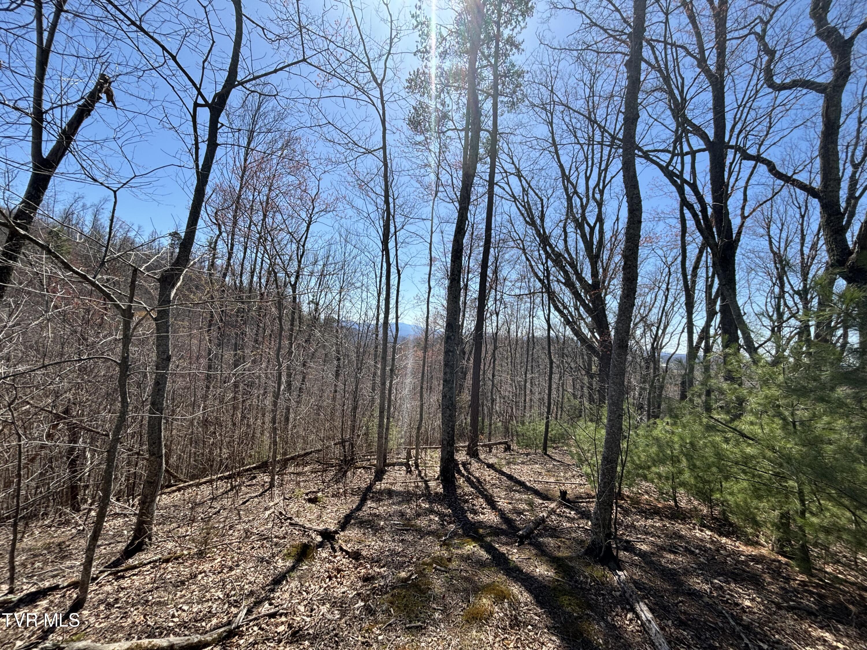 166 Holston Mountain Road, Elizabethton, Tennessee image 13