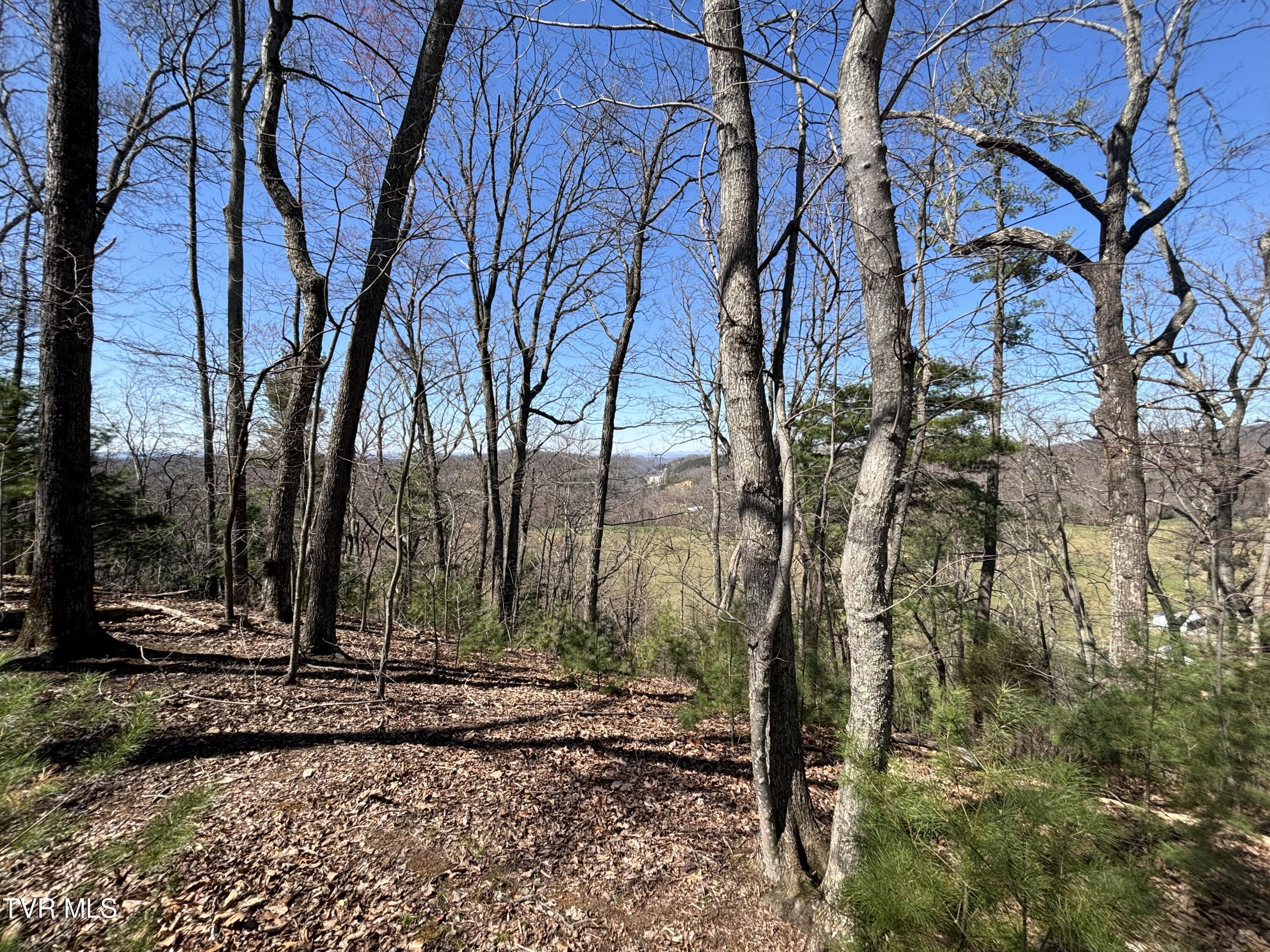 166 Holston Mountain Road, Elizabethton, Tennessee image 19