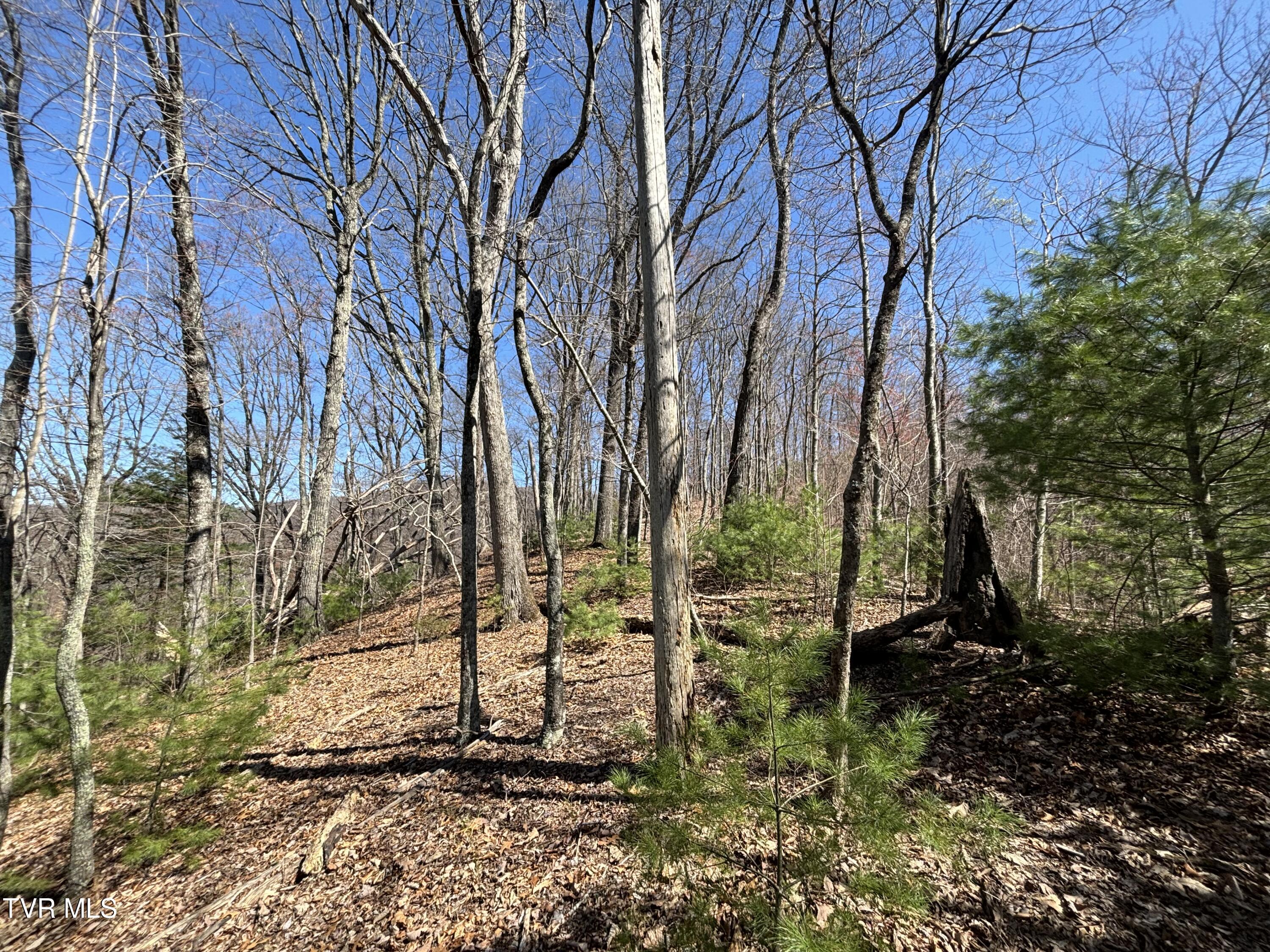 166 Holston Mountain Road, Elizabethton, Tennessee image 20