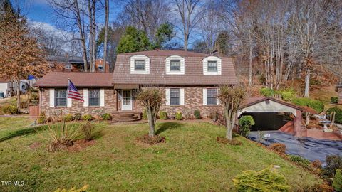 Photo of 557 Valley Avenue, Erwin, TN 37650 (MLS # 9989065)