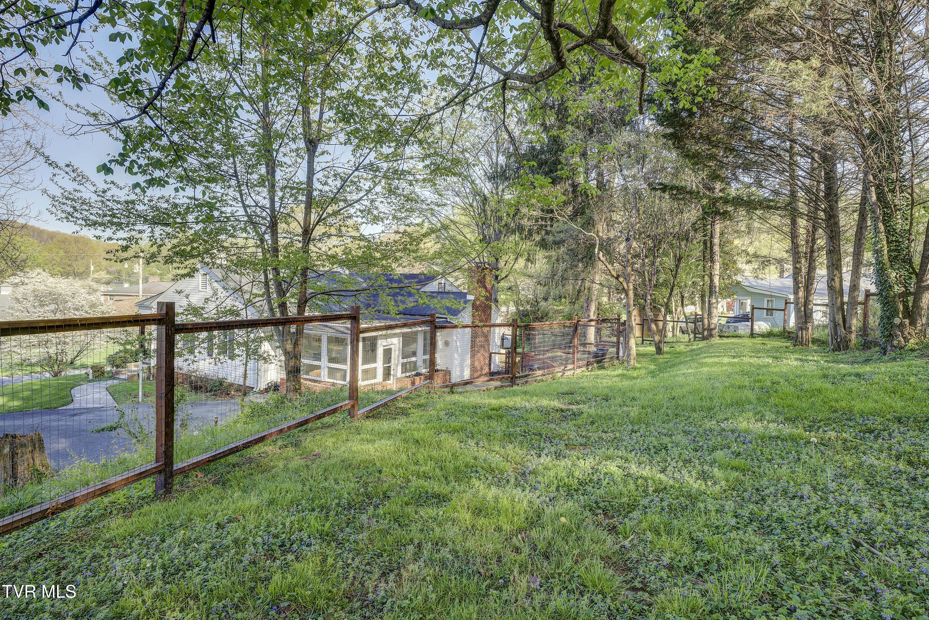 607 Carter Boulevard, Elizabethton, Tennessee image 45