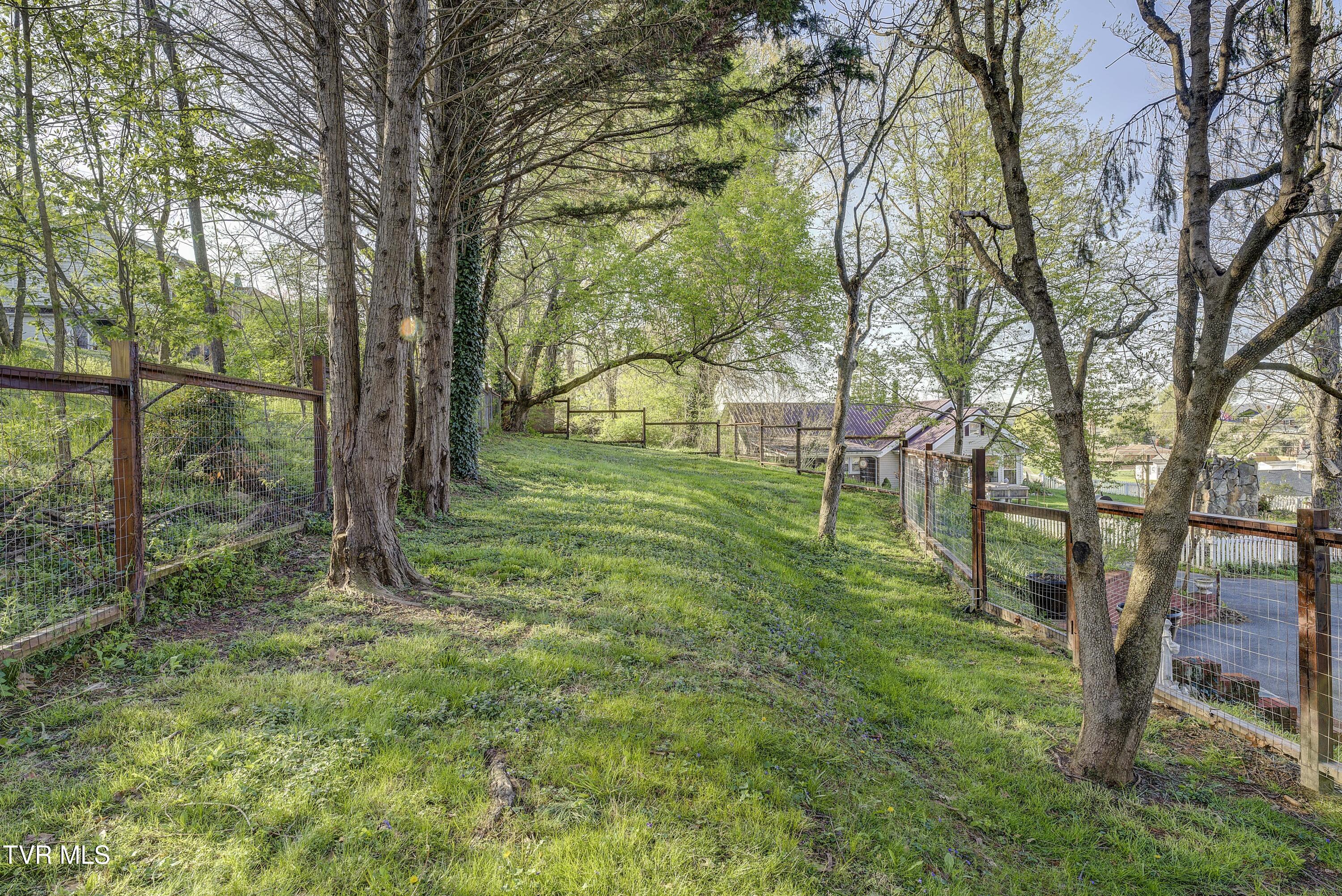 607 Carter Boulevard, Elizabethton, Tennessee image 44