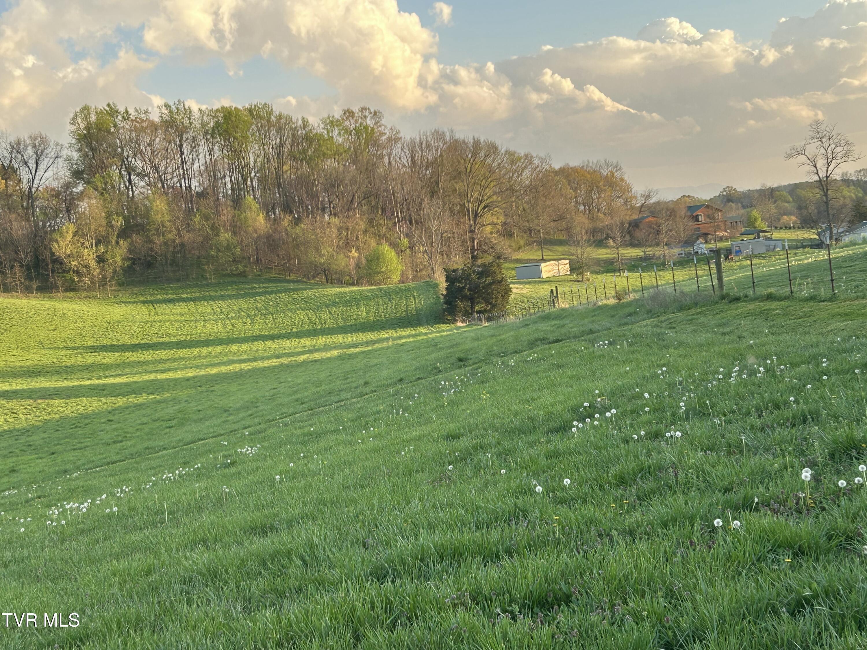3490 Milburnton Road, Limestone, Tennessee image 25