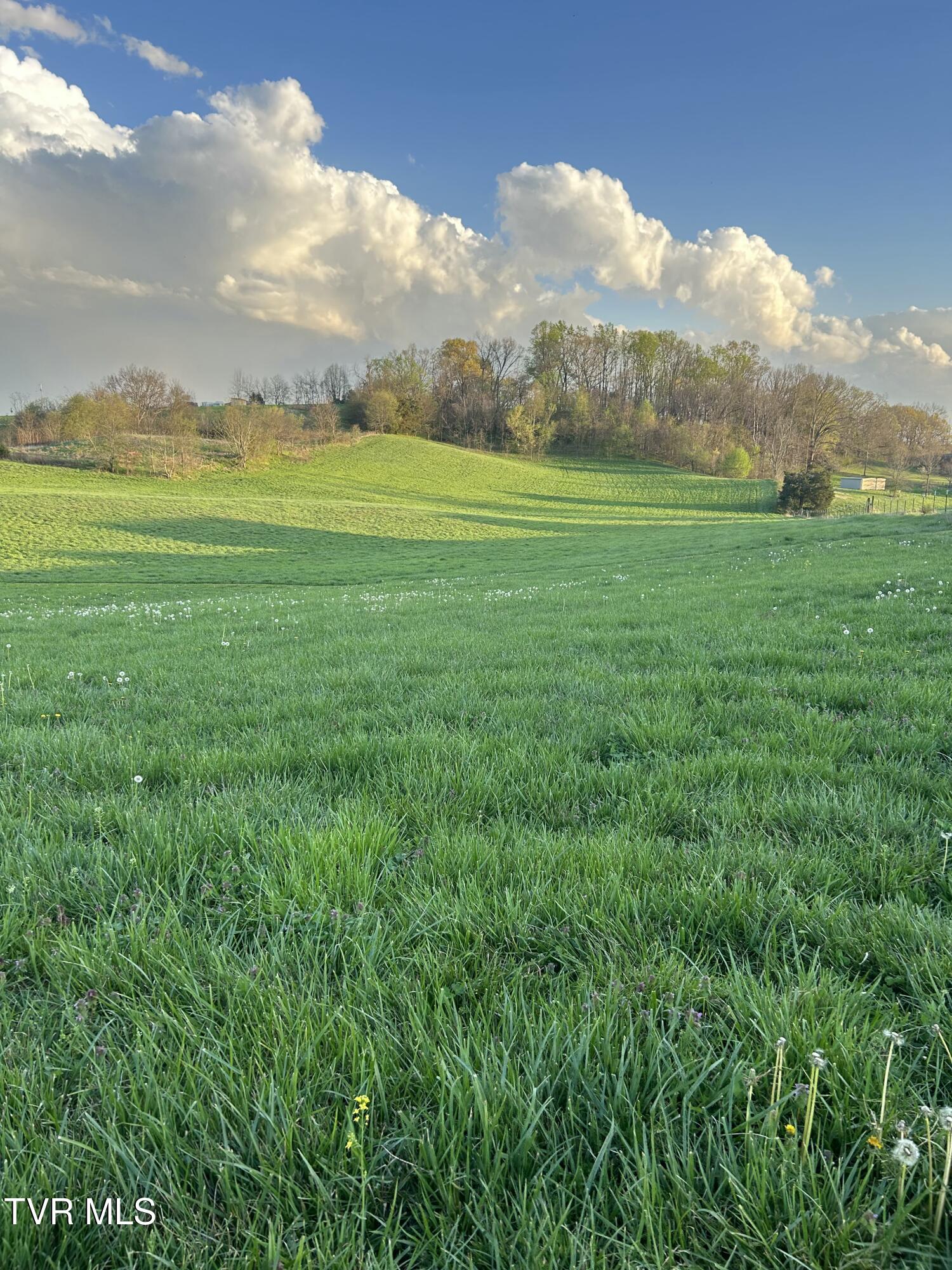 3490 Milburnton Road, Limestone, Tennessee image 28