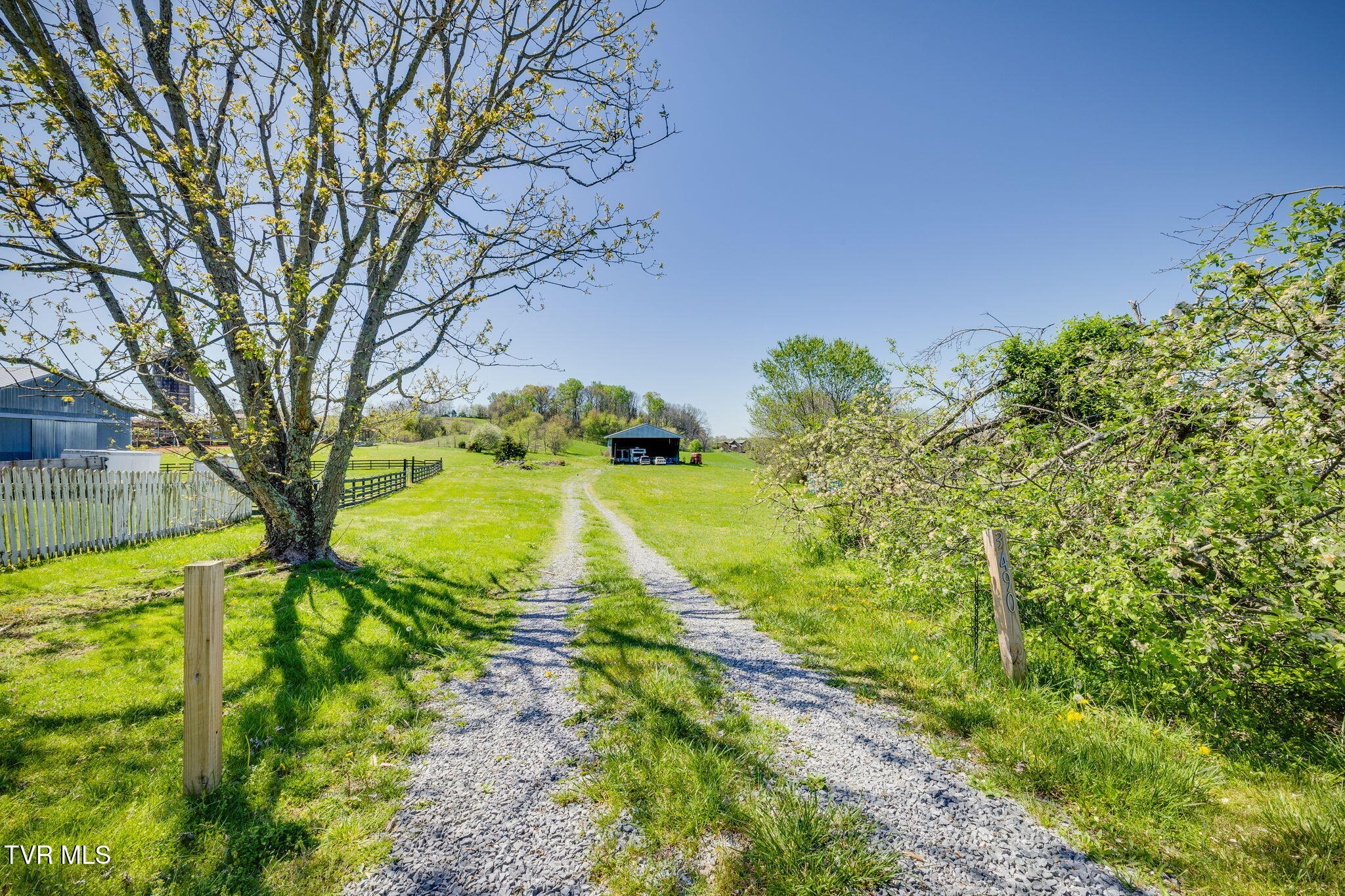3490 Milburnton Road, Limestone, Tennessee image 18